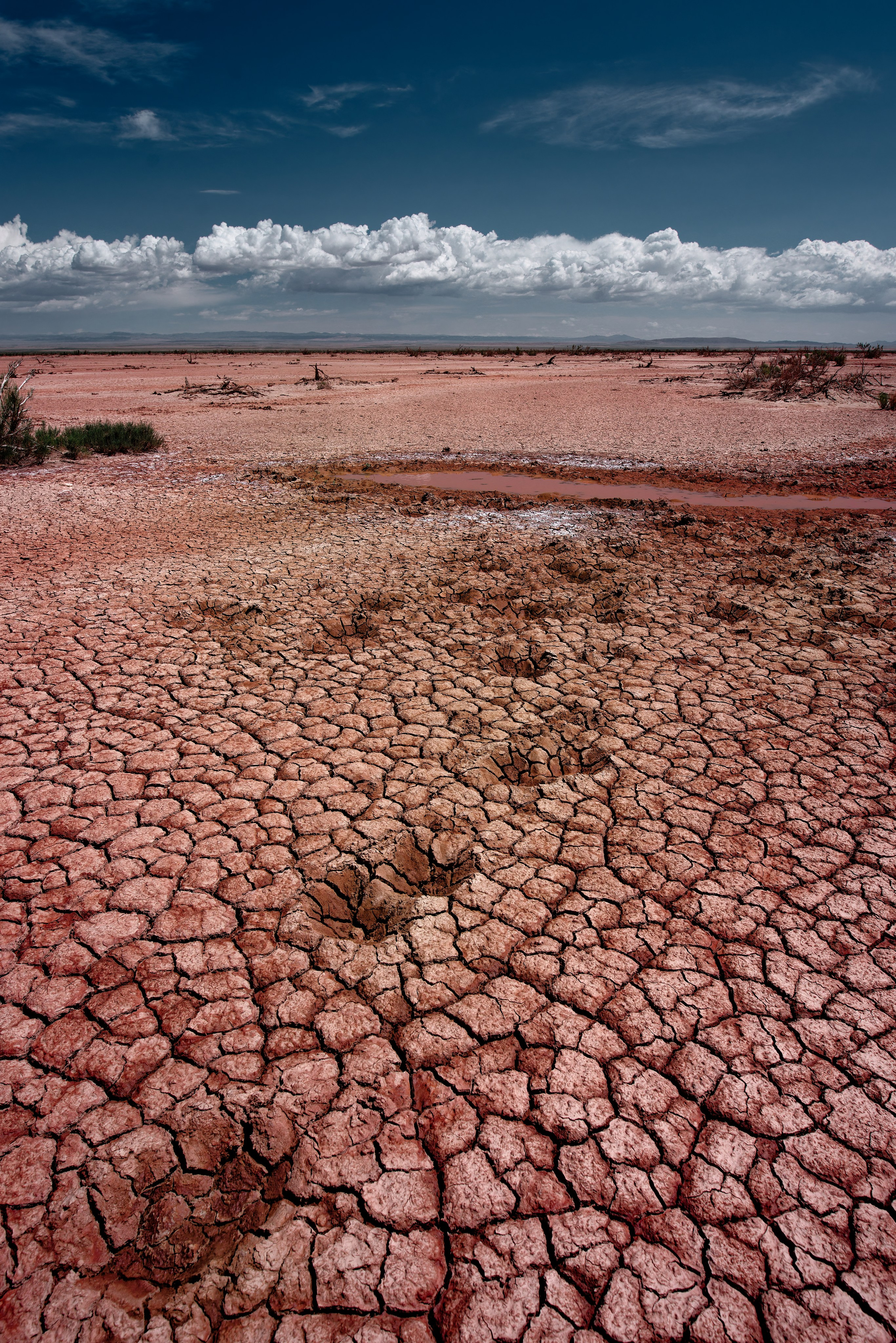 Выход красных глин и потрескавшаяся земля солончака в пустыне Гоби в Монголии