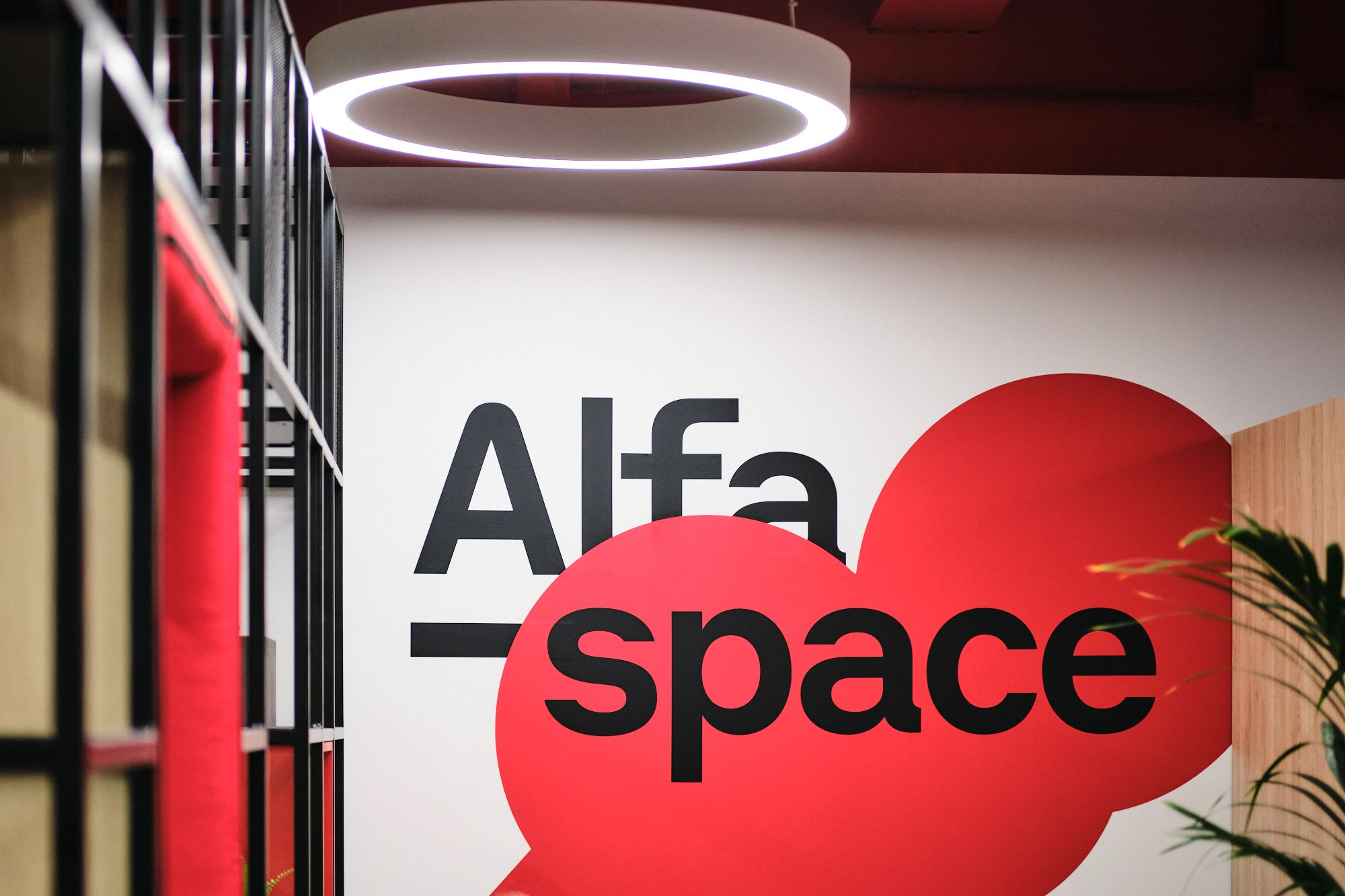 Alfa lektorium. Лиза Сытикова. Фотограф. Санкт-Петербург