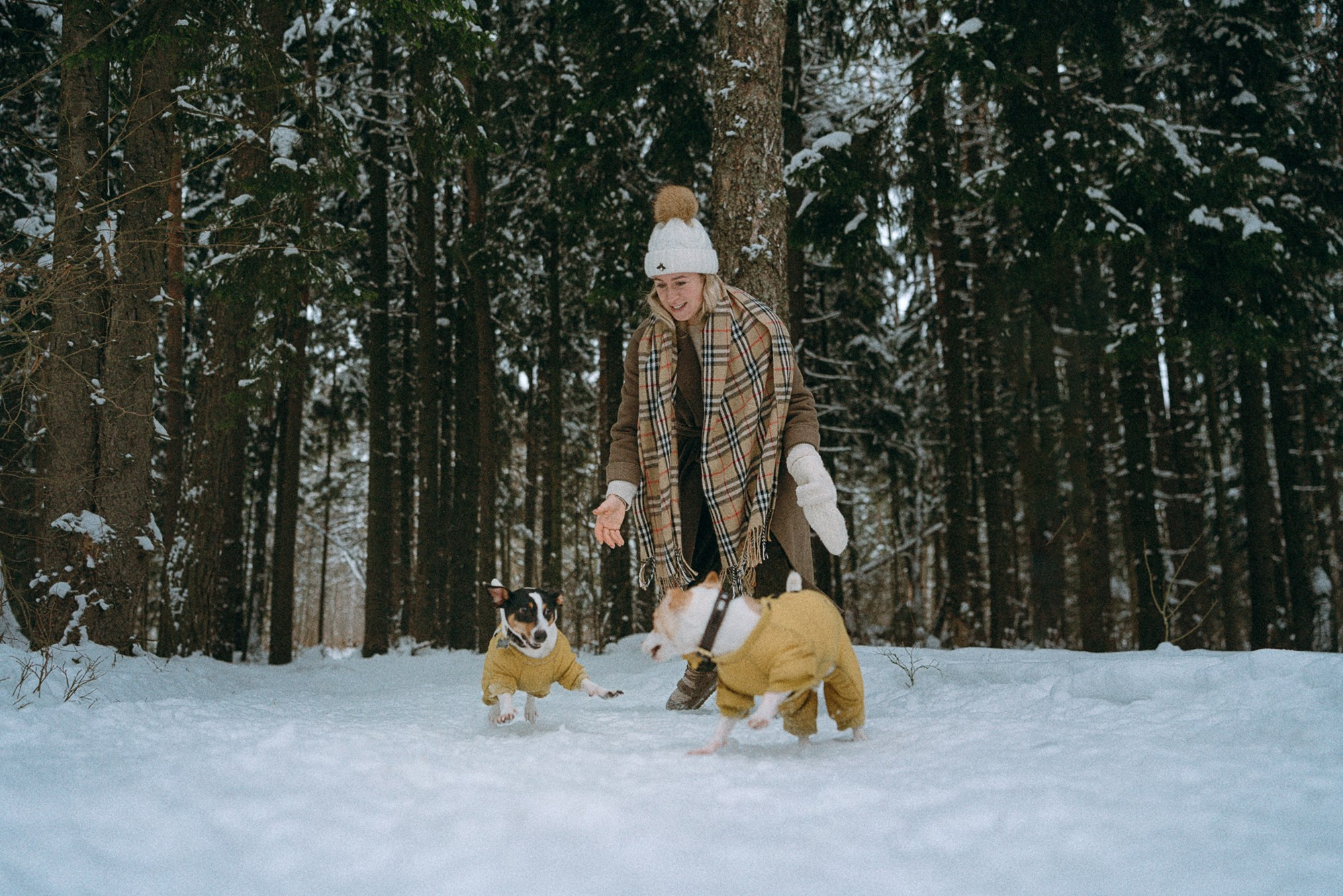 Алина, Ваниль и Элис. Фотограф анималист в Москве и Санкт-Петербурге Свиридова Анна