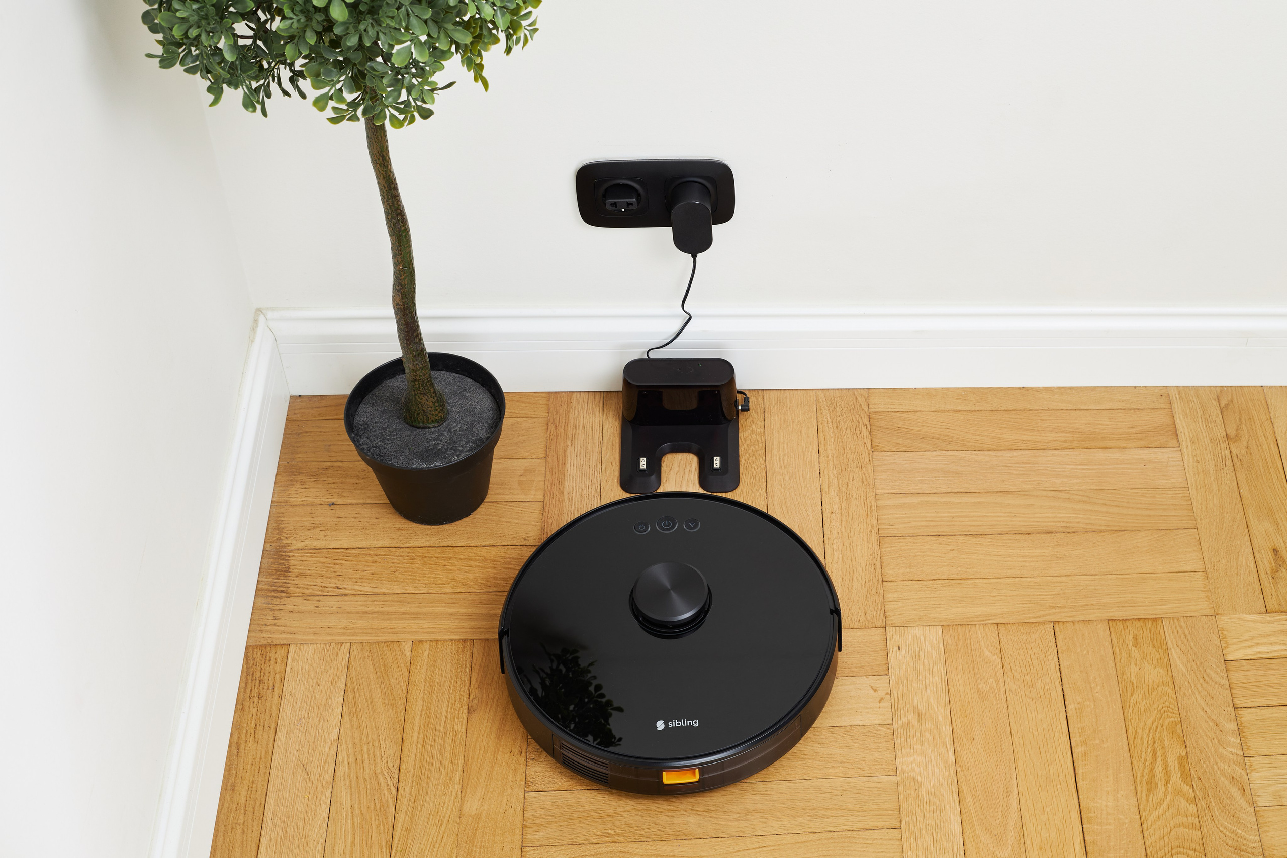 Sibling. Коммерческий фотограф Алена Федорова. Санкт-Петербург