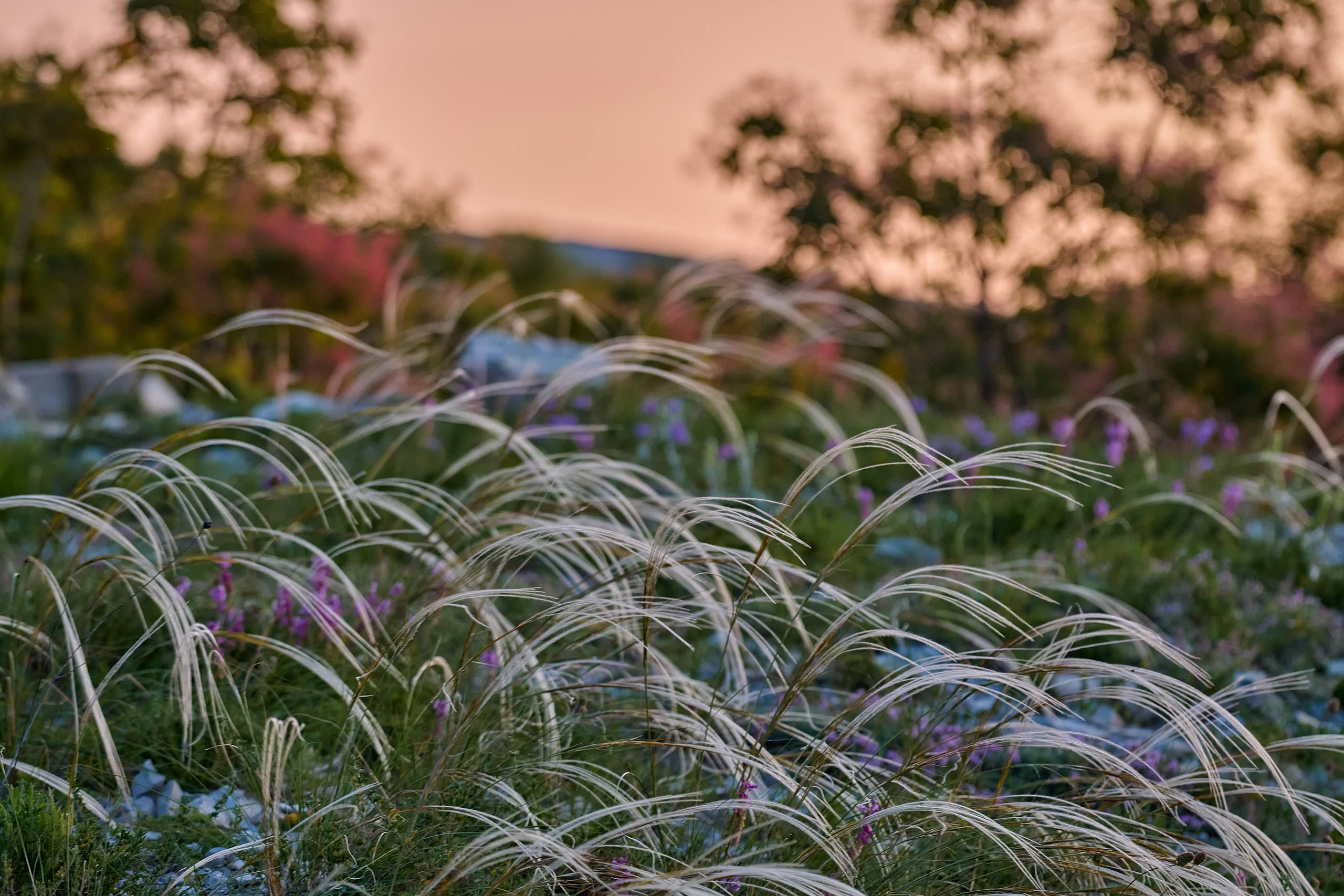 Текстуры и другие фоны. Textures and other. Яркие фото на Чёрном море