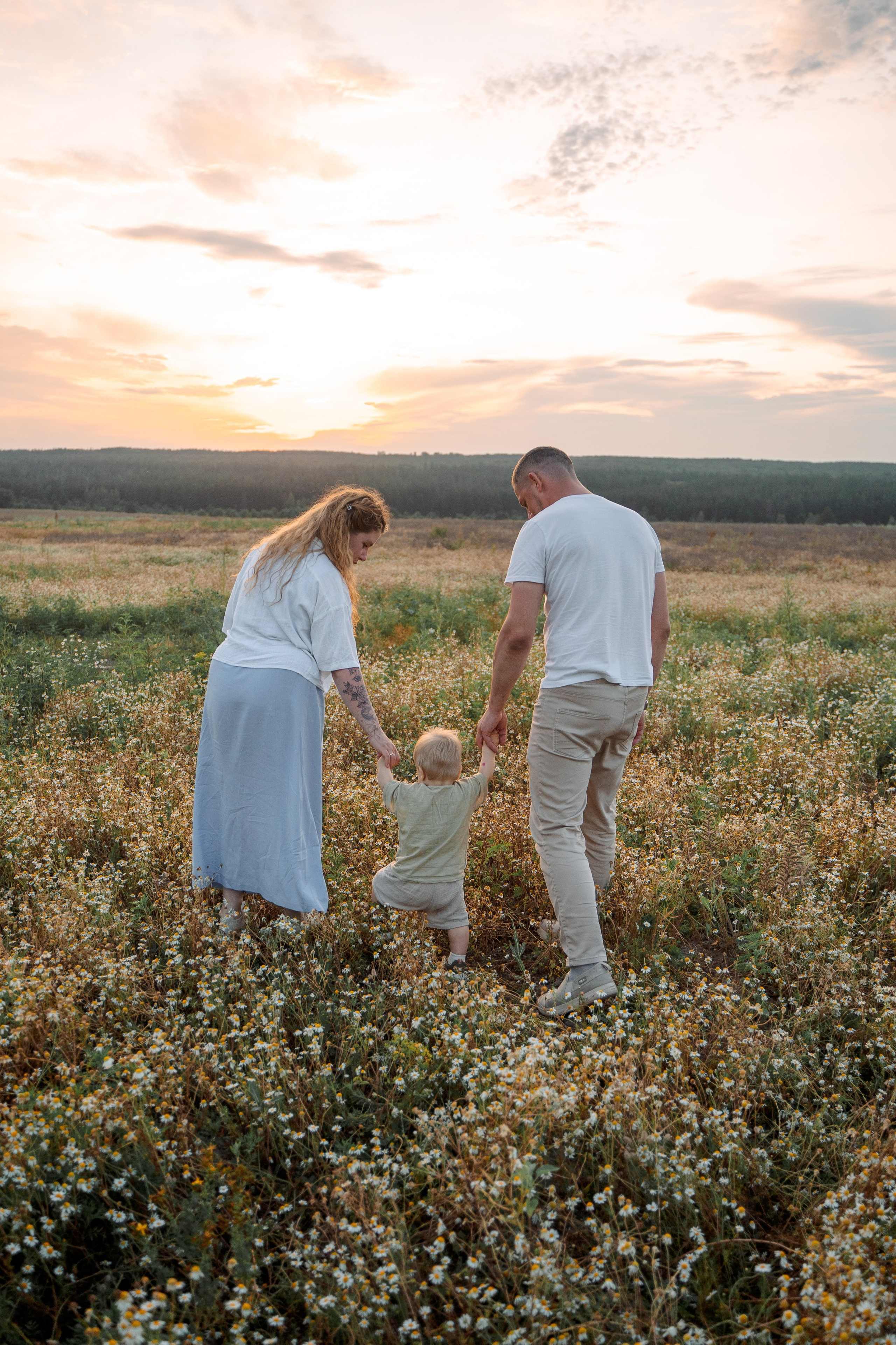РОМАШКИ. Фотограф Мария Зайчик