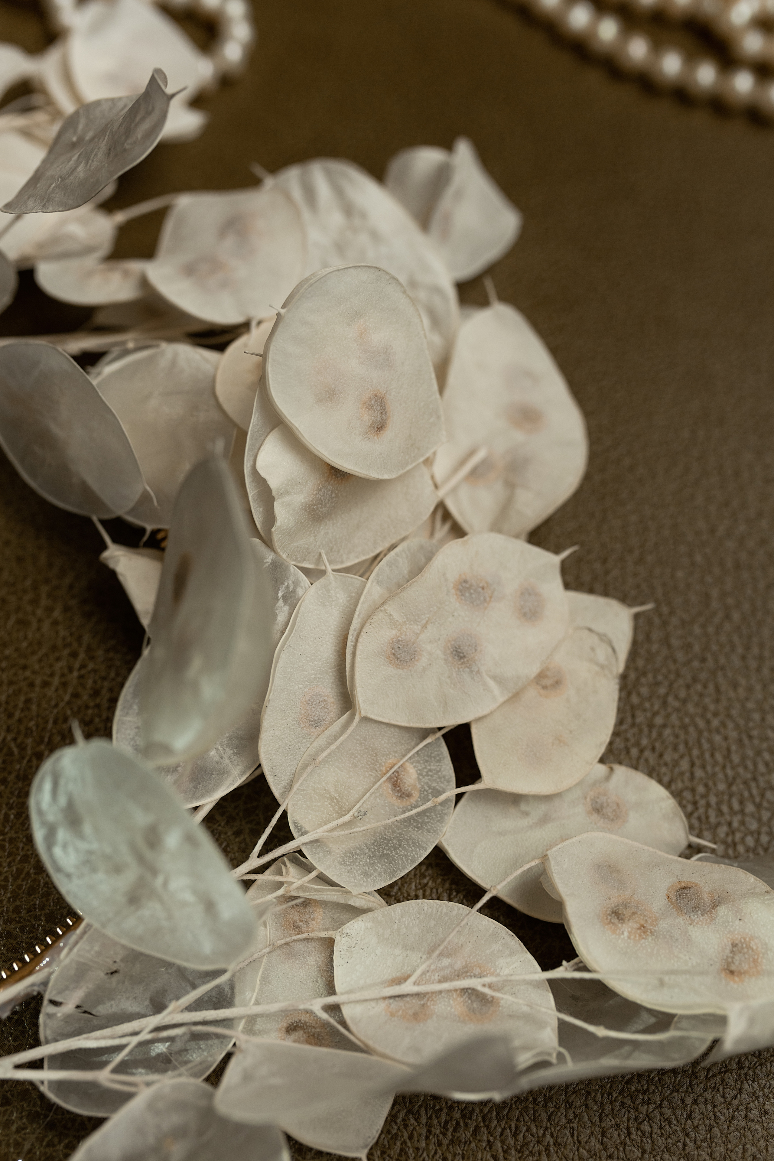 Модерн. Свадебный и семейный фотограф Алимова Леся