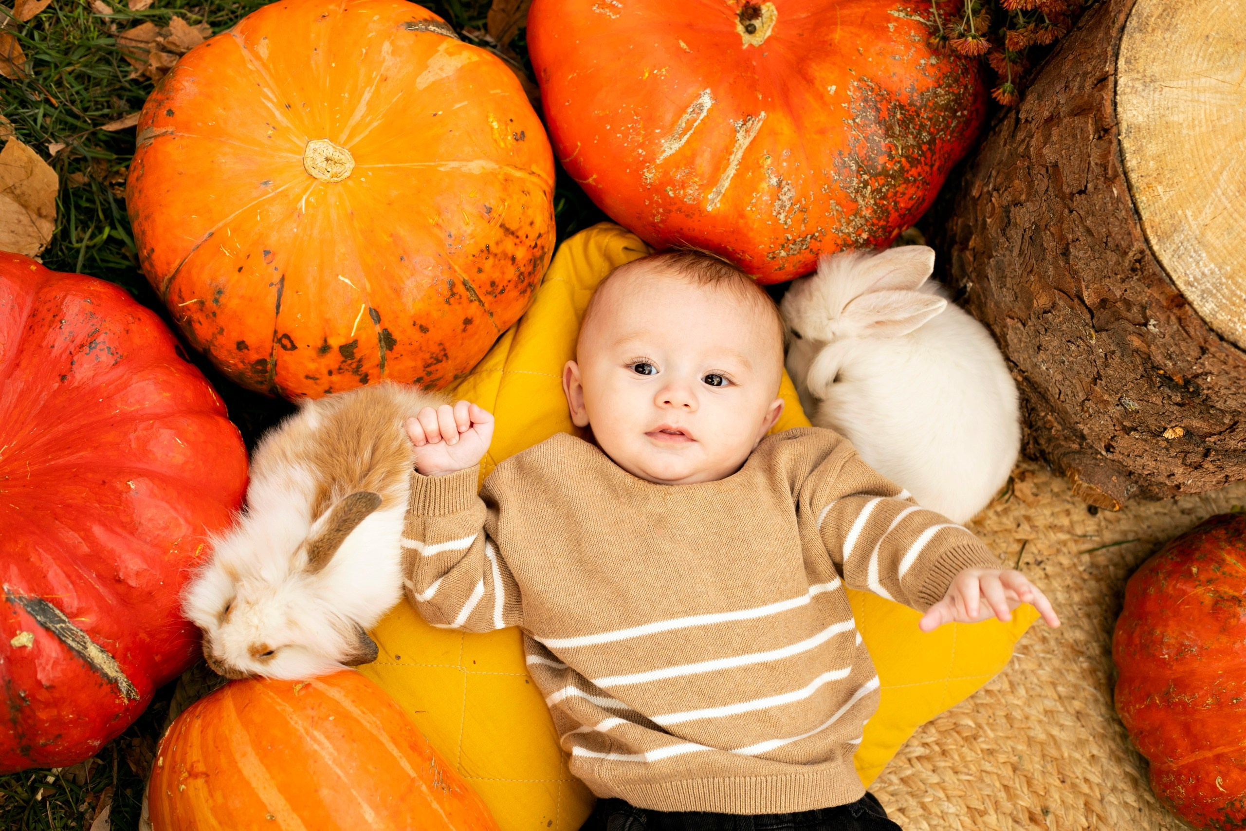 Семейные. Семейный фотограф новорожденных Нальчик