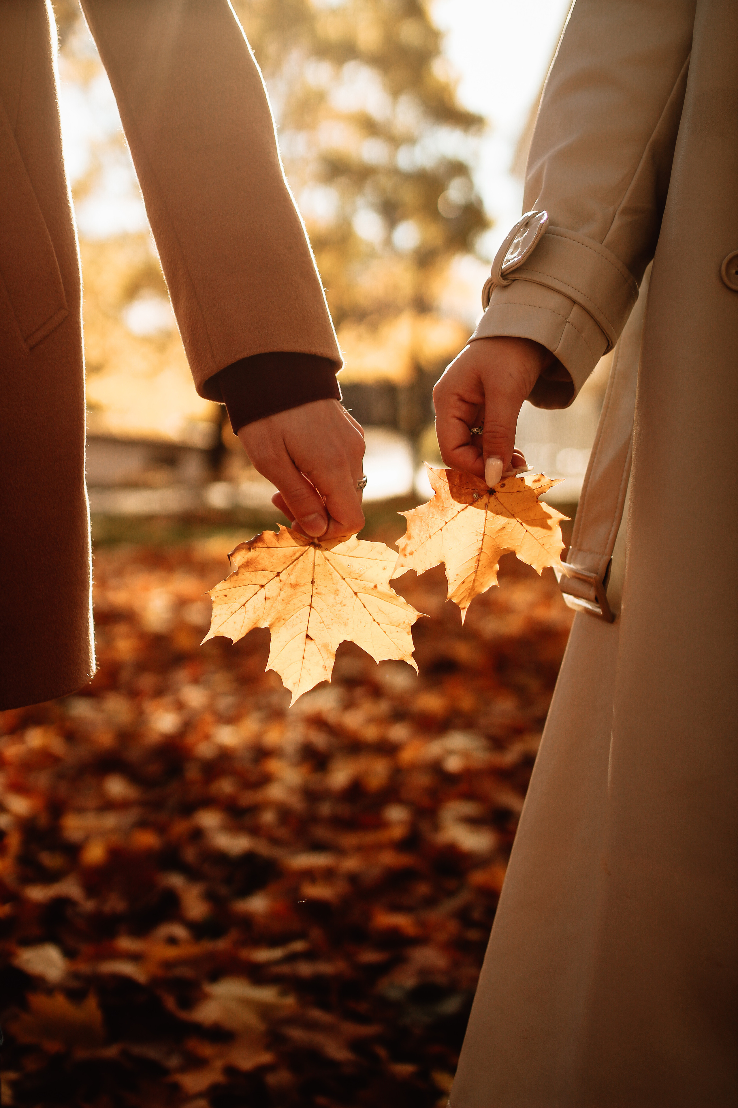 Лавстори Стас и Оля, осень'22. Семейный Life style фотограф в Великом Новгороде Юлия Ефимова