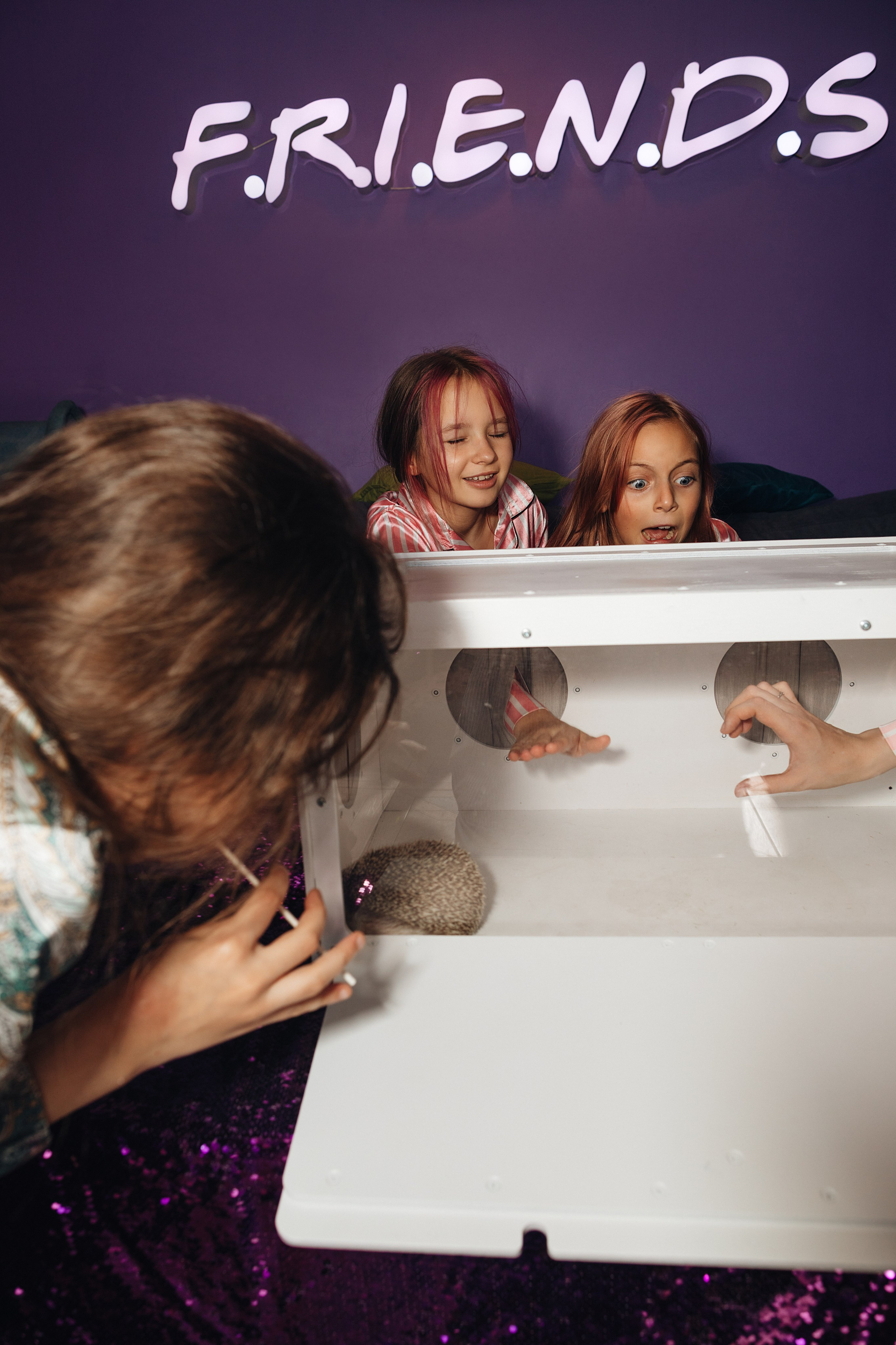 София, с днём рождения!. Портретный фотограф в Москве и МО Зимина Татьяна