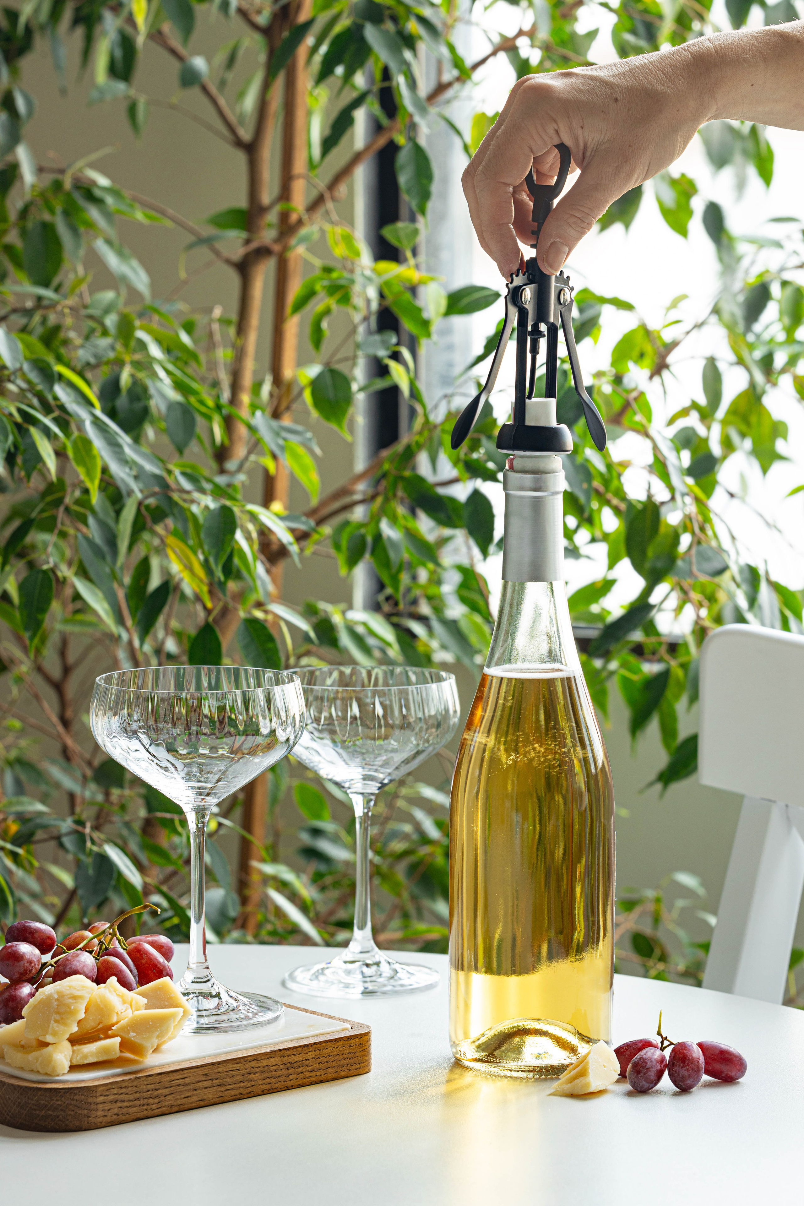 Вкус Вилл для персональной коммуникации. Фуд и предметный фотограф для вашего бизнеса