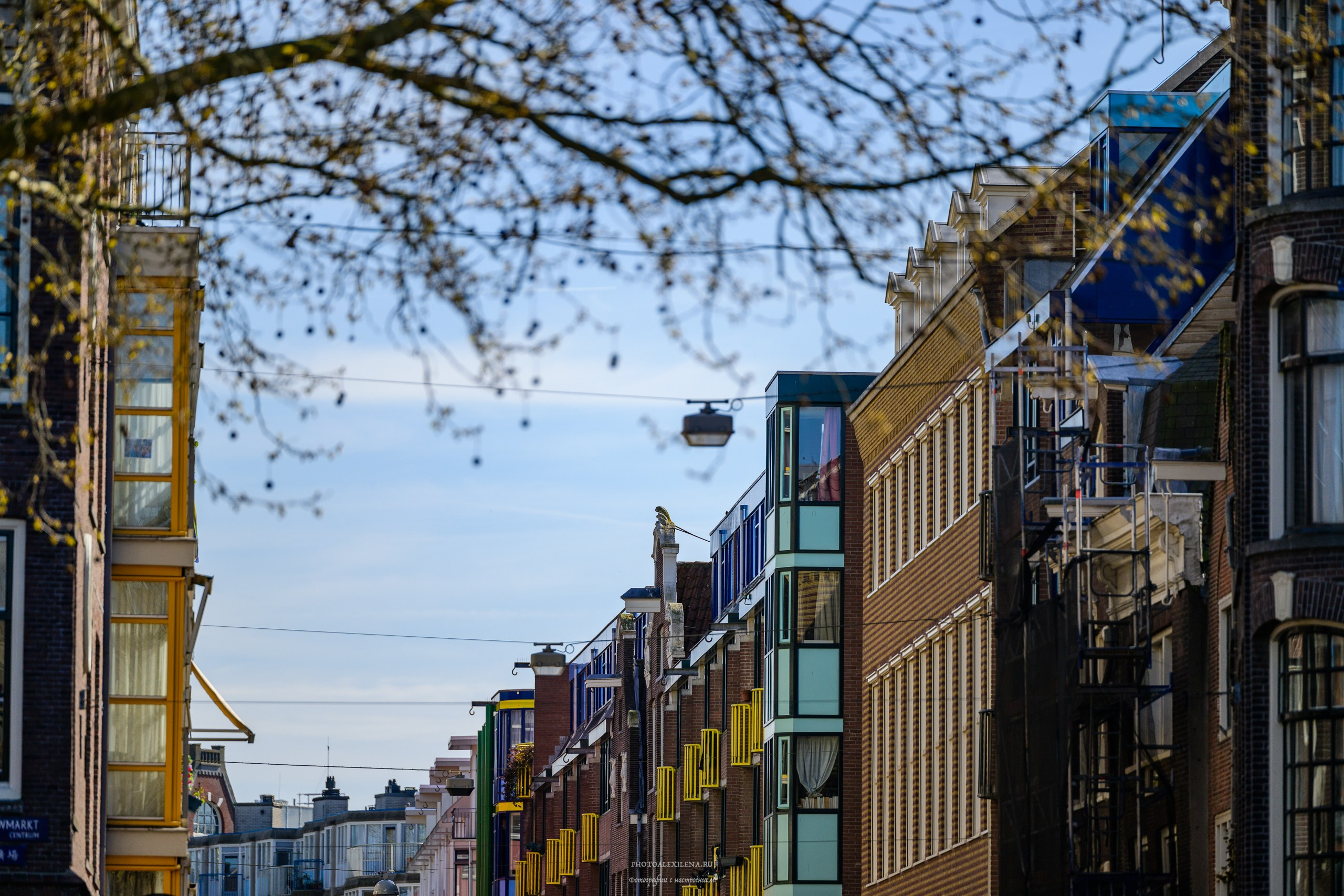 И это всё о нём. Авторские стильные фотокартины