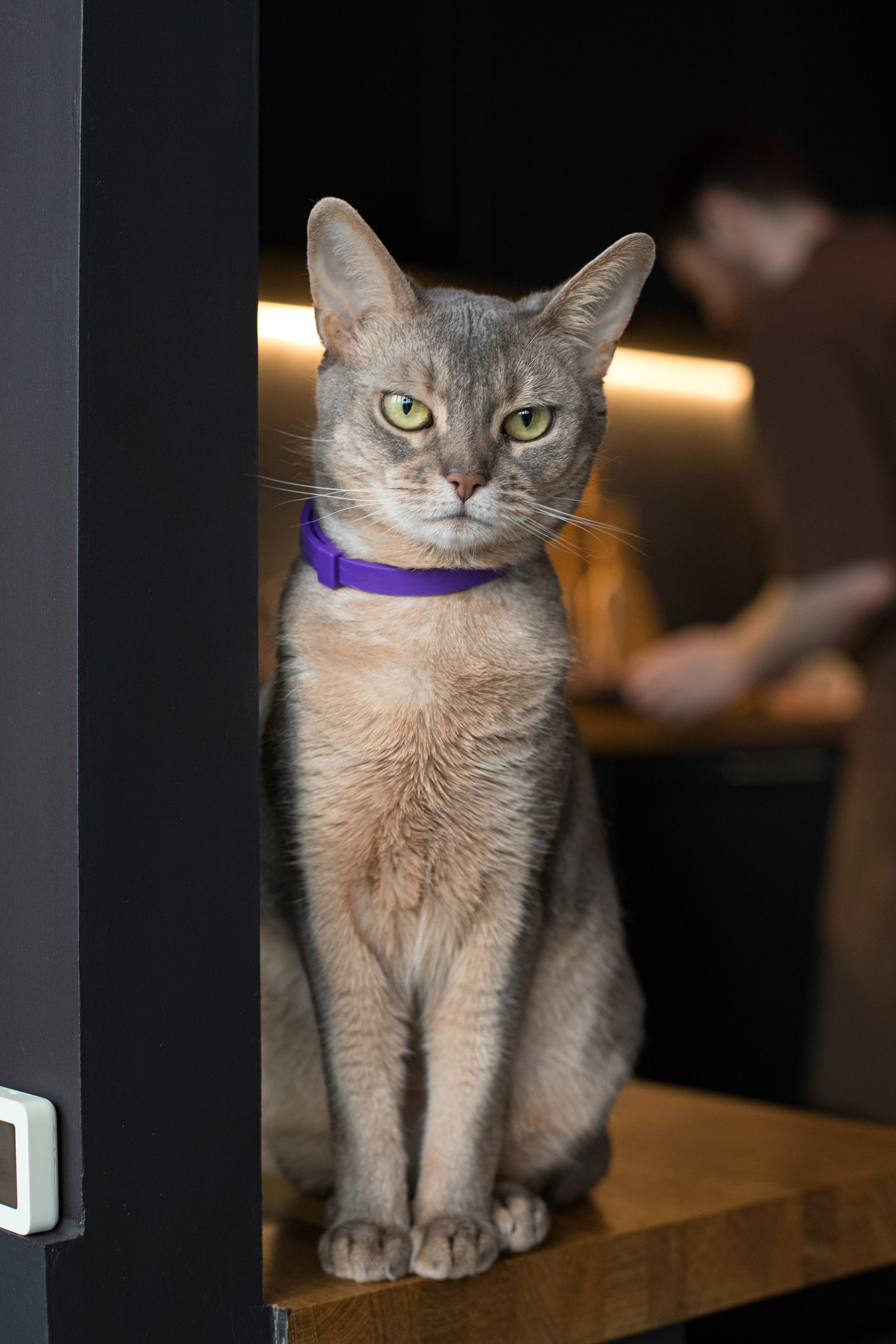 Аврора, Даша и Игорь. Детский и контент фотограф Надя Волкова Санкт-Петербург