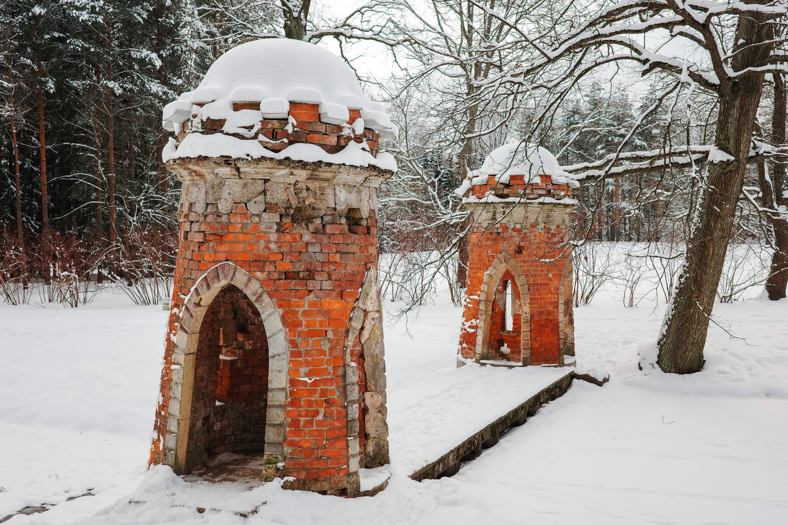 2025.02. Фотограф Алексей Алексеев