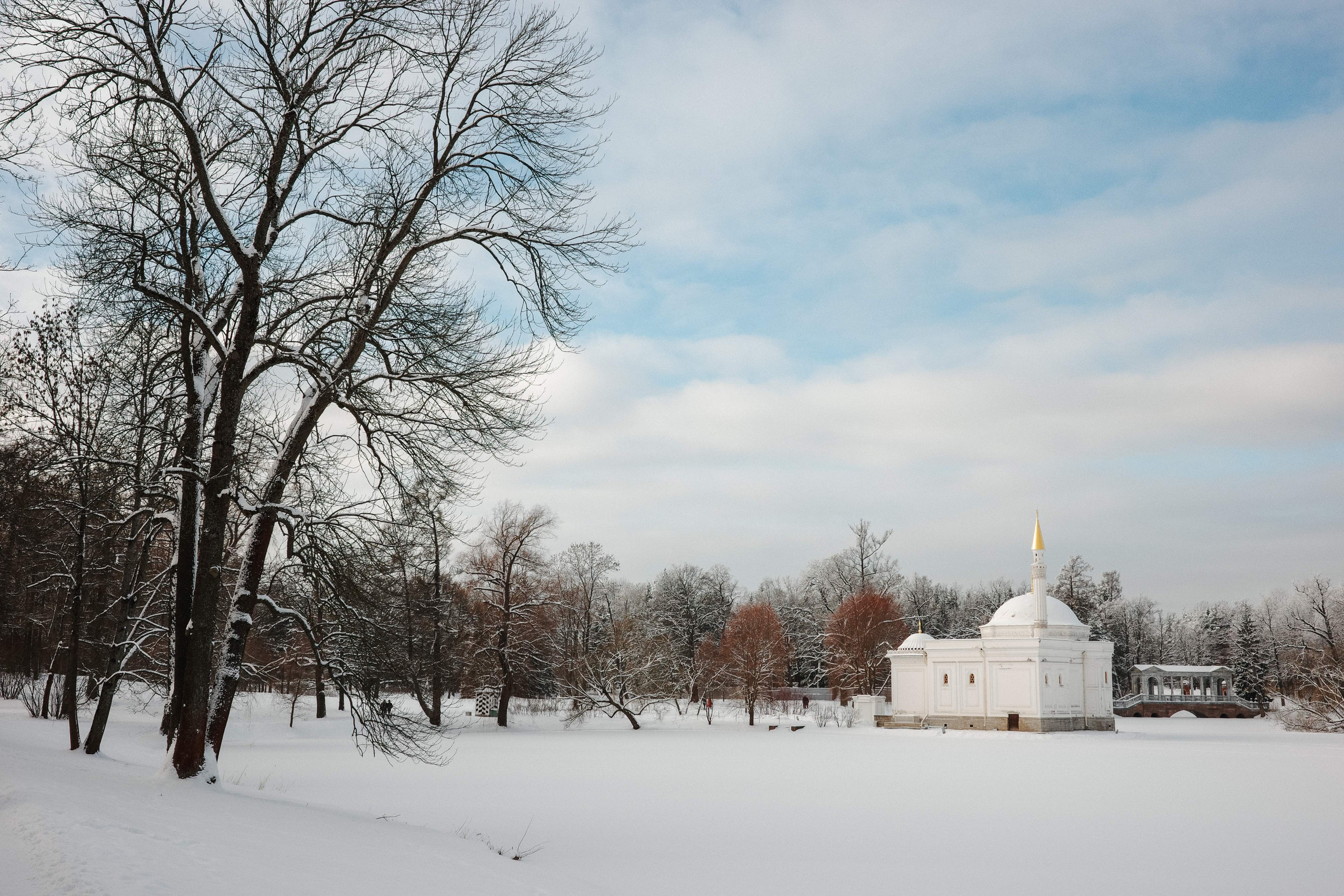 2025.02. Фотограф Алексей Алексеев