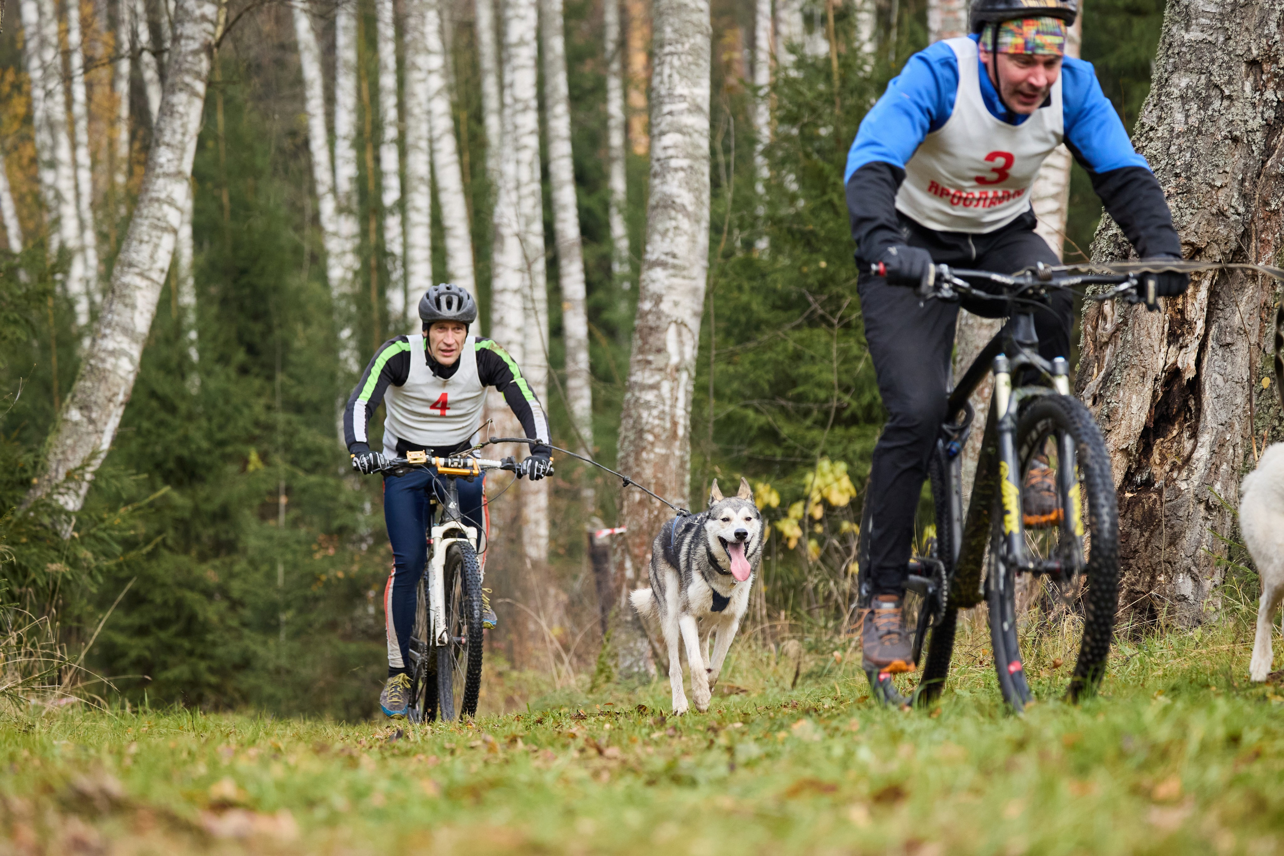 Чемпионат по ЕС Ярославской области. Фотограф Ирина Астор