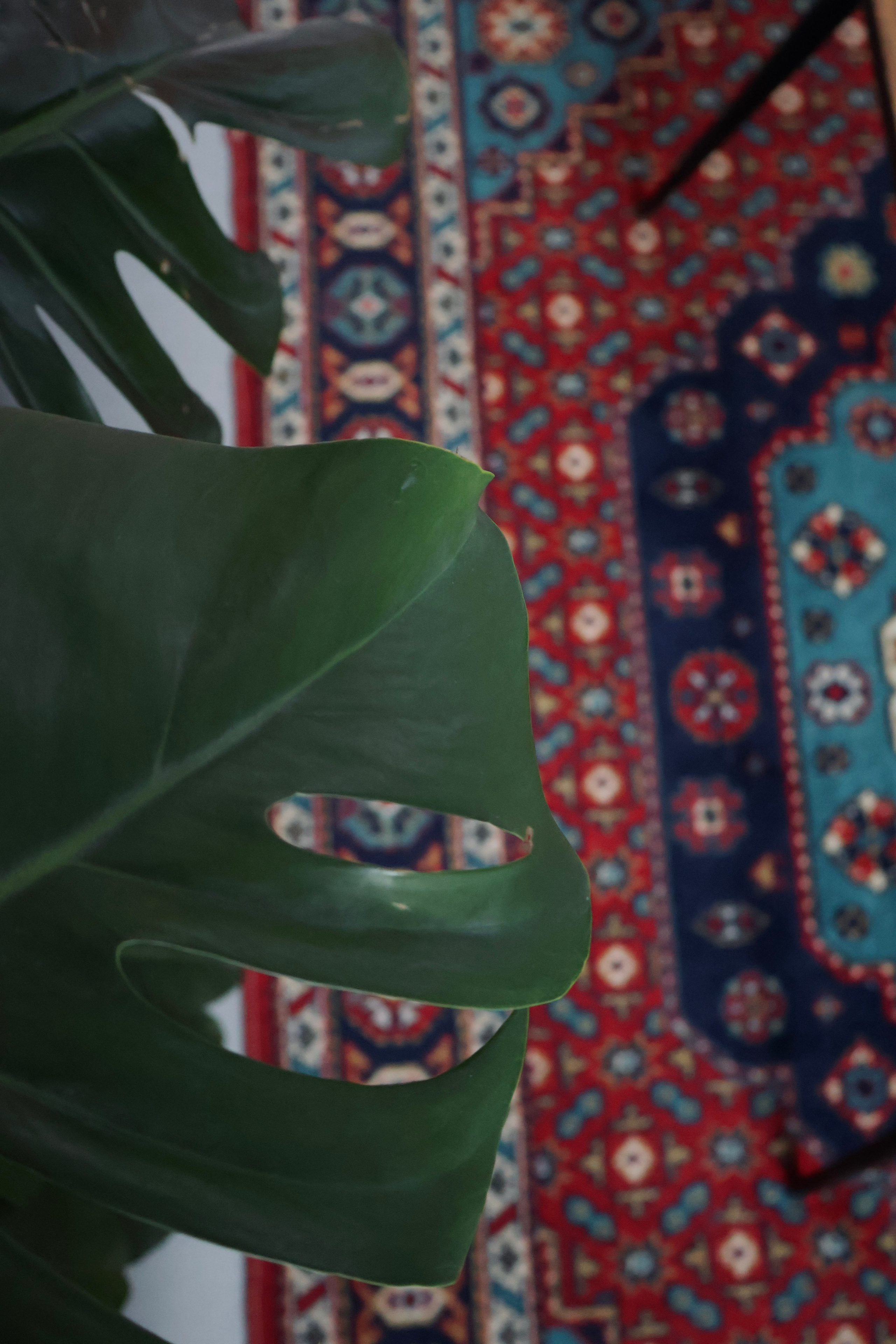 Как выглядит фотостудия Антресоль