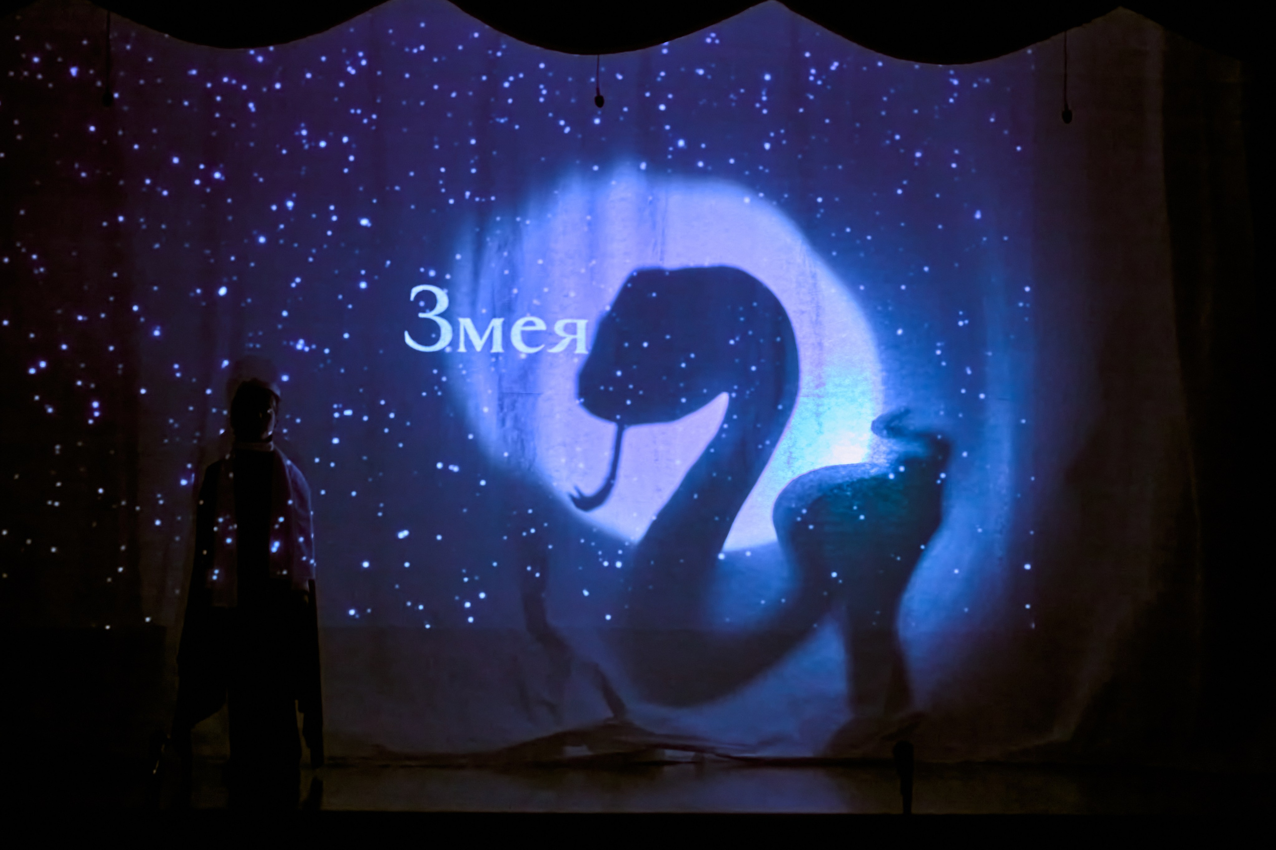 Фотографии с премьеры Маленький принц