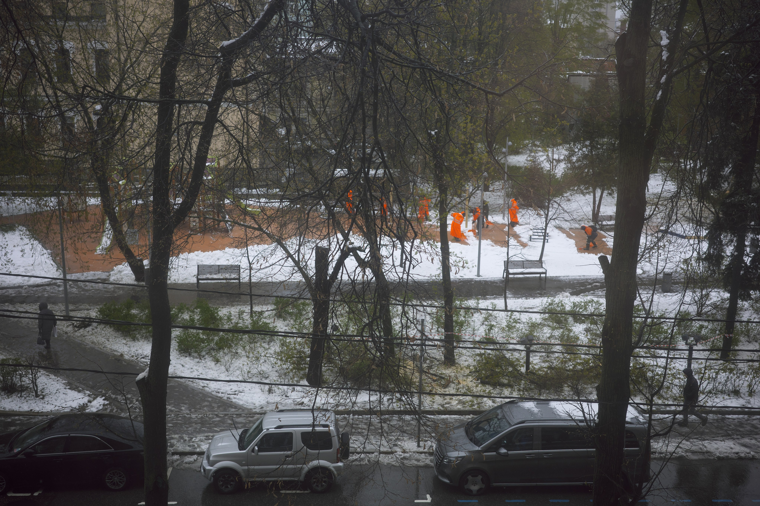 Апрельский снег ❄️. Миша Печёнкин | фотография