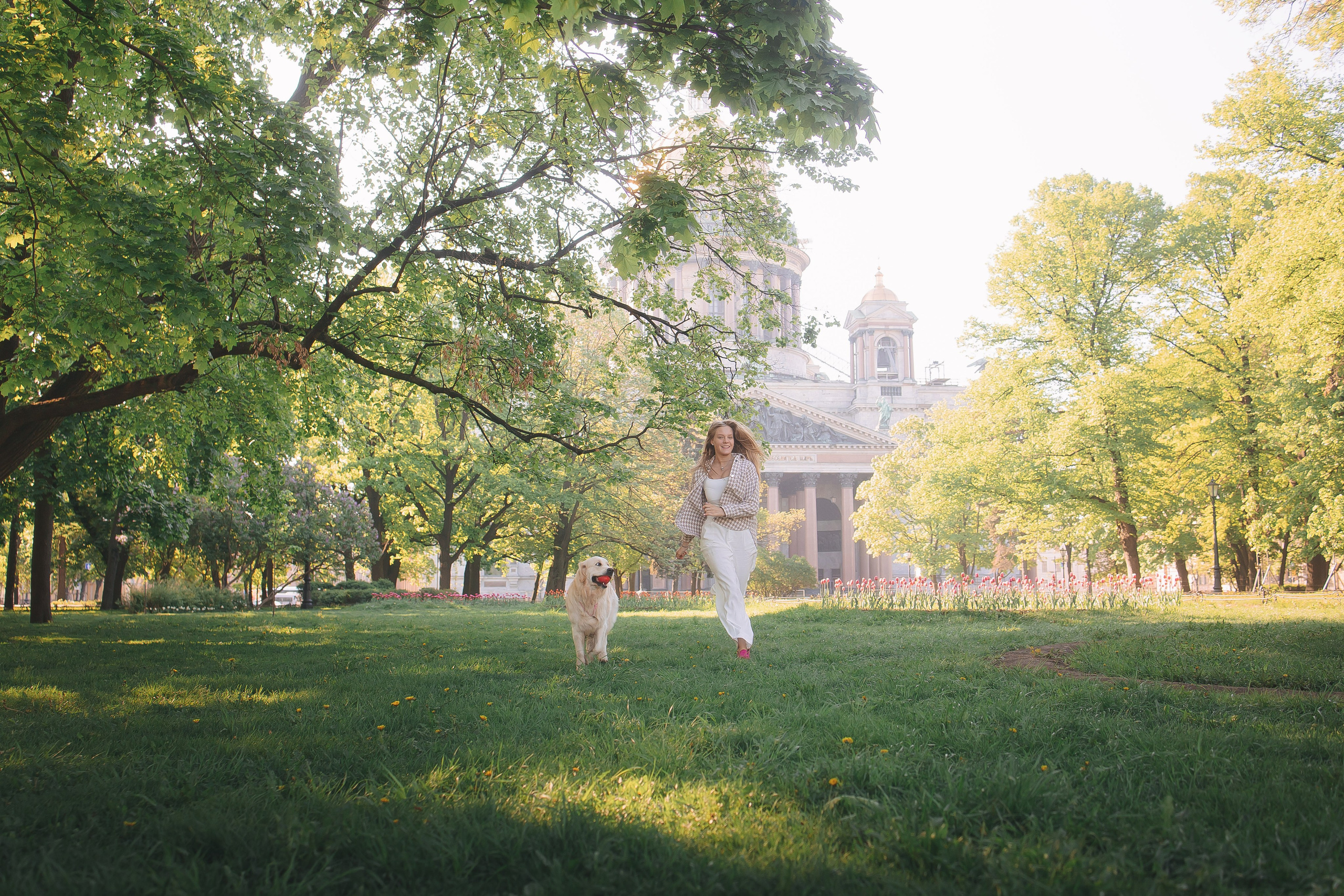 Золотистый ретривер Мона, Питер. Свадебный и женский фотограф