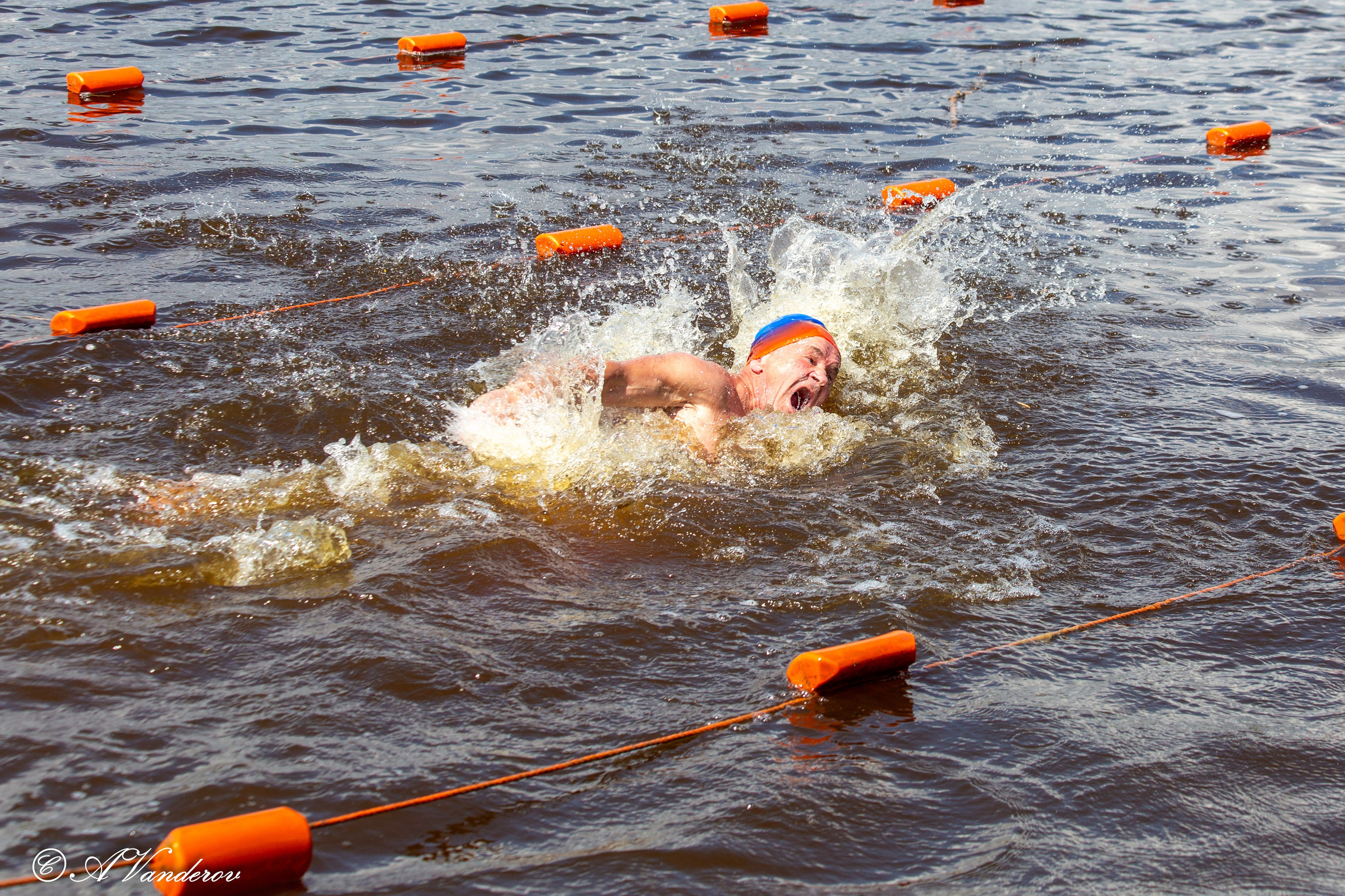 Заплыв 02.06.2024. Фотограф Омск | Александр Вандеров