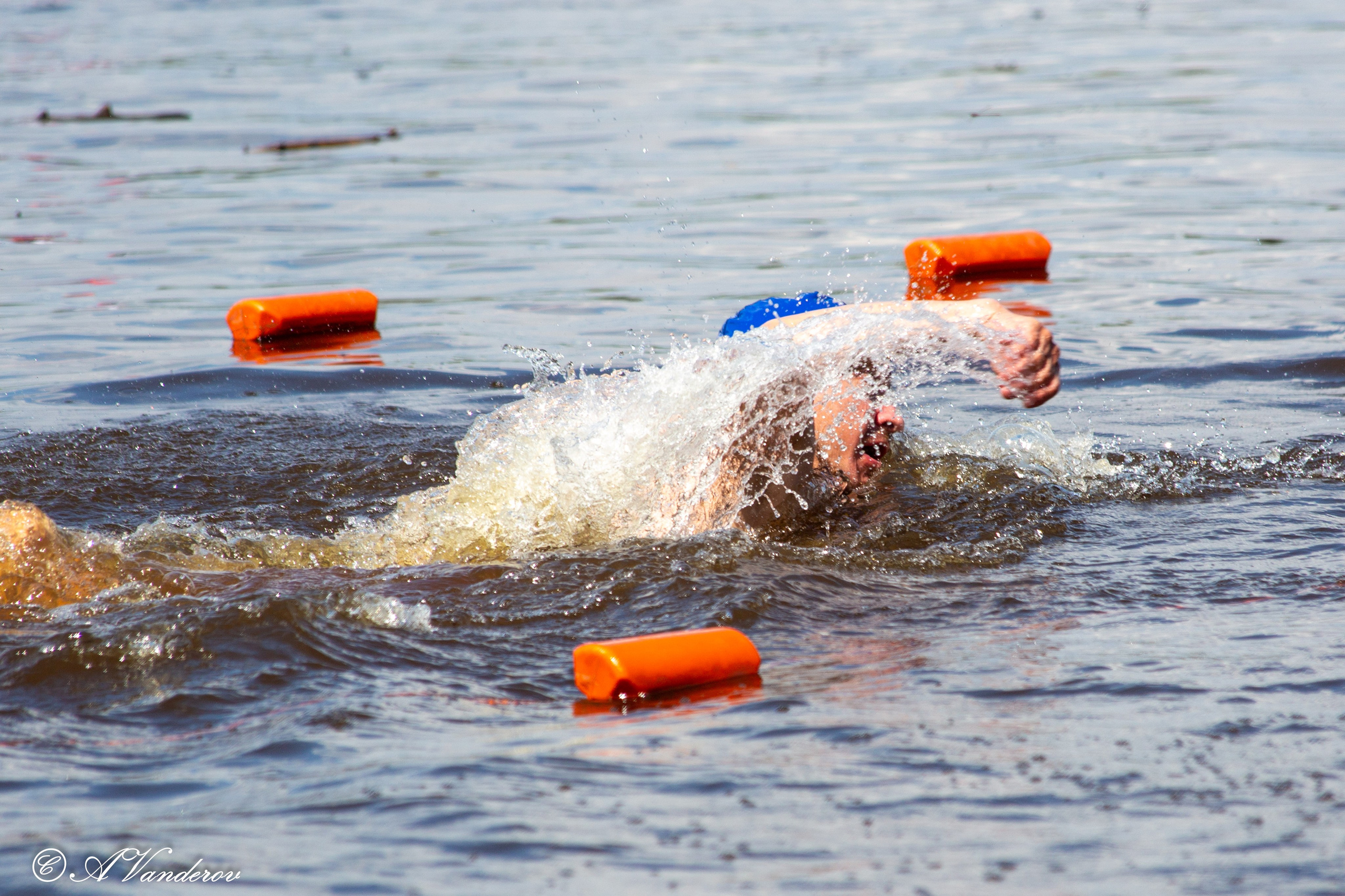 Заплыв 02.06.2024. Фотограф Омск | Александр Вандеров
