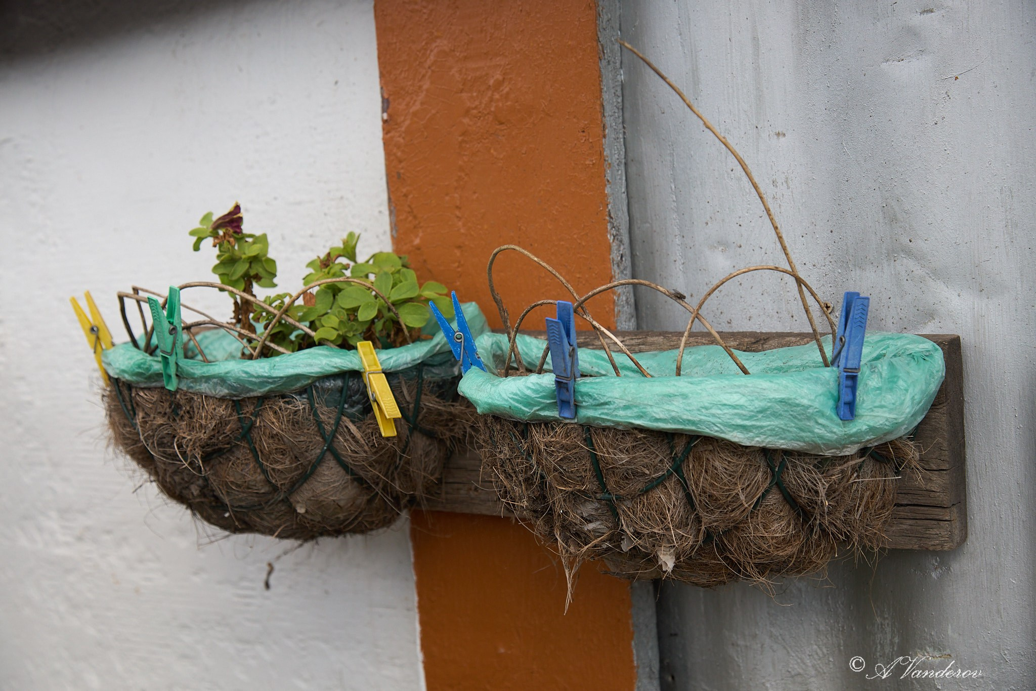 Село Савкино Баганского района Новосибирской области. Фотограф Омск | Александр Вандеров