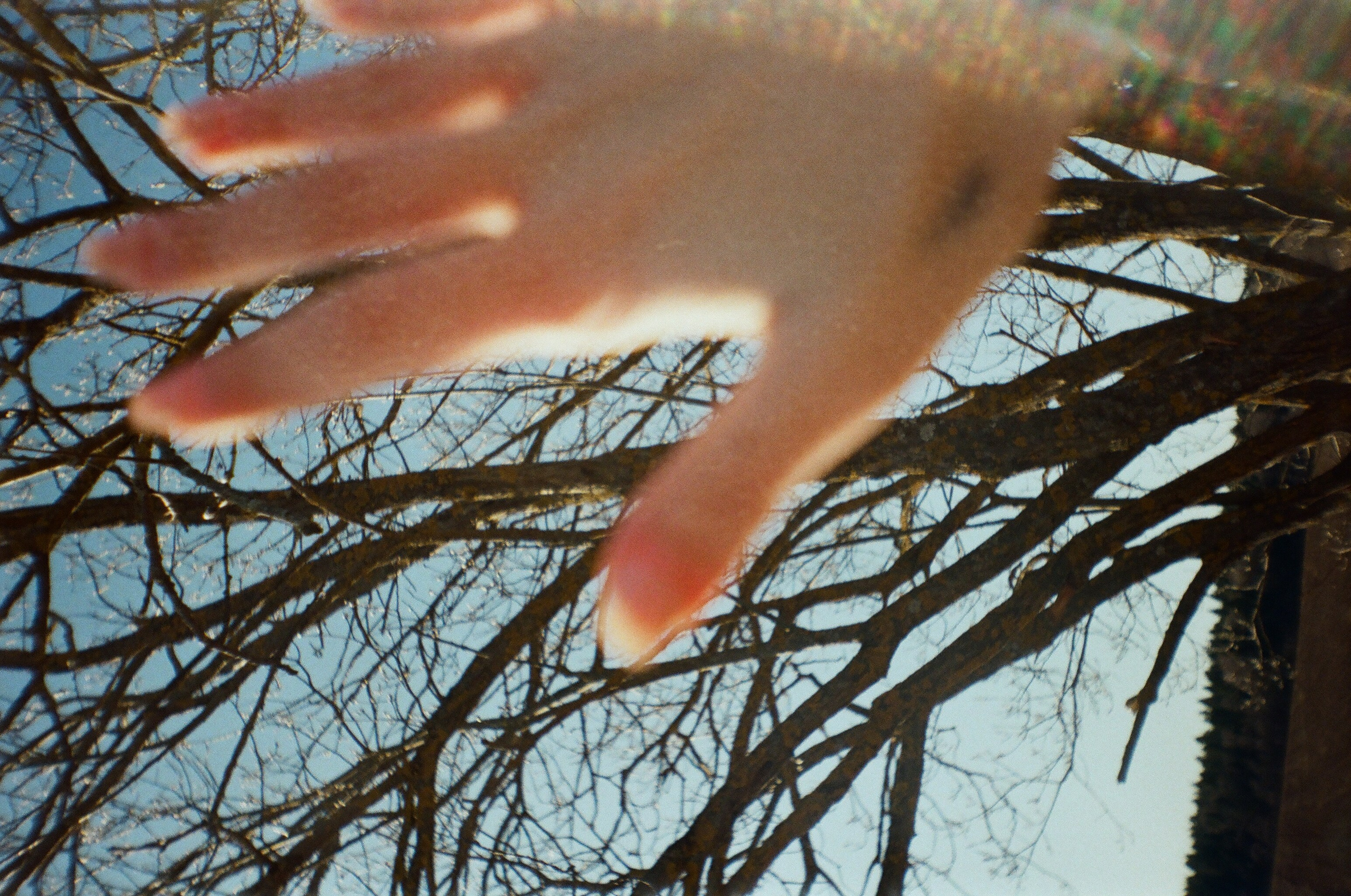 Портфолио. Фотограф Москва | Anastasia Permyakova