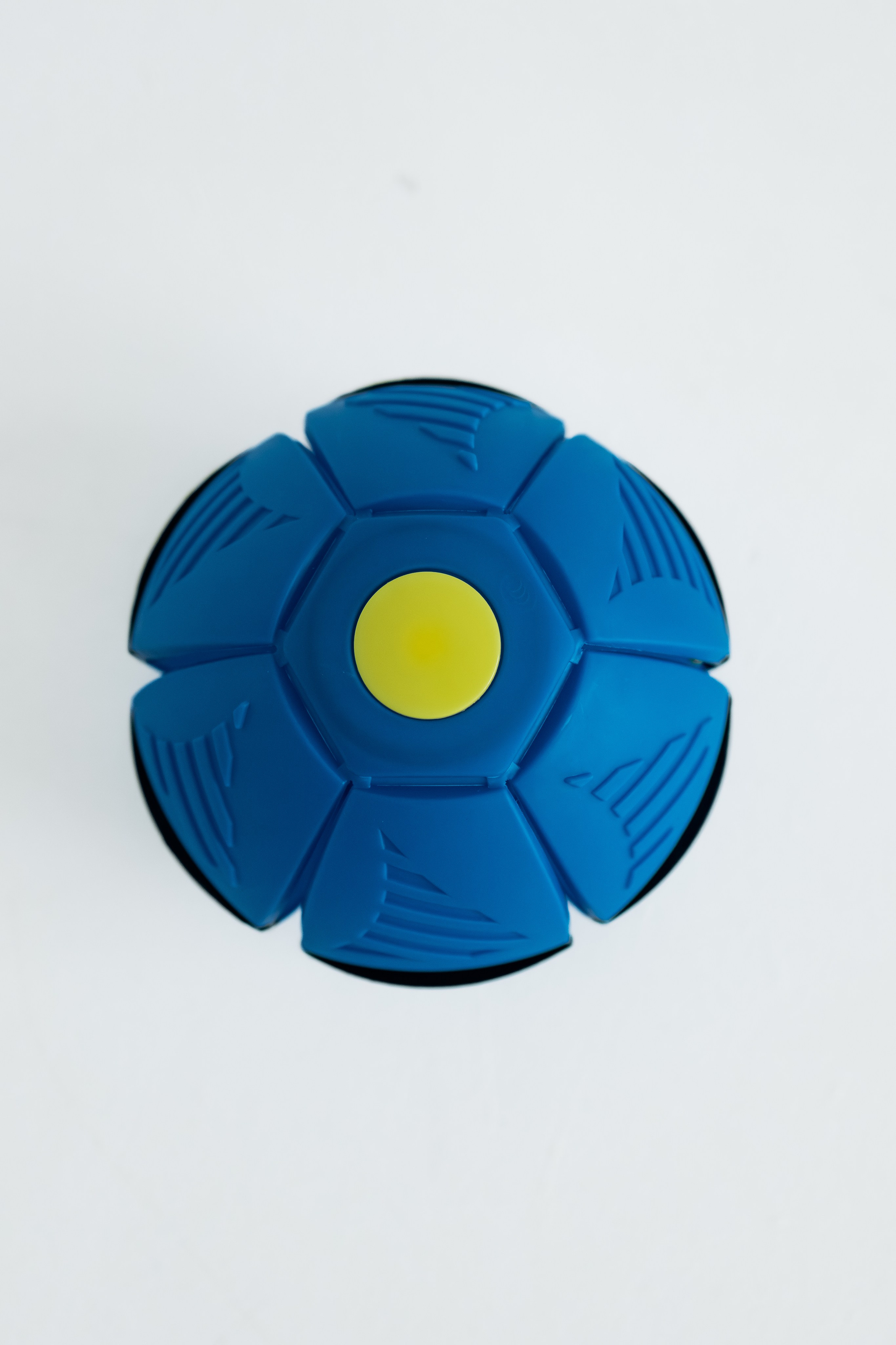 Мячи-попрыгуны. Фотораф — анималист Мария Шистка