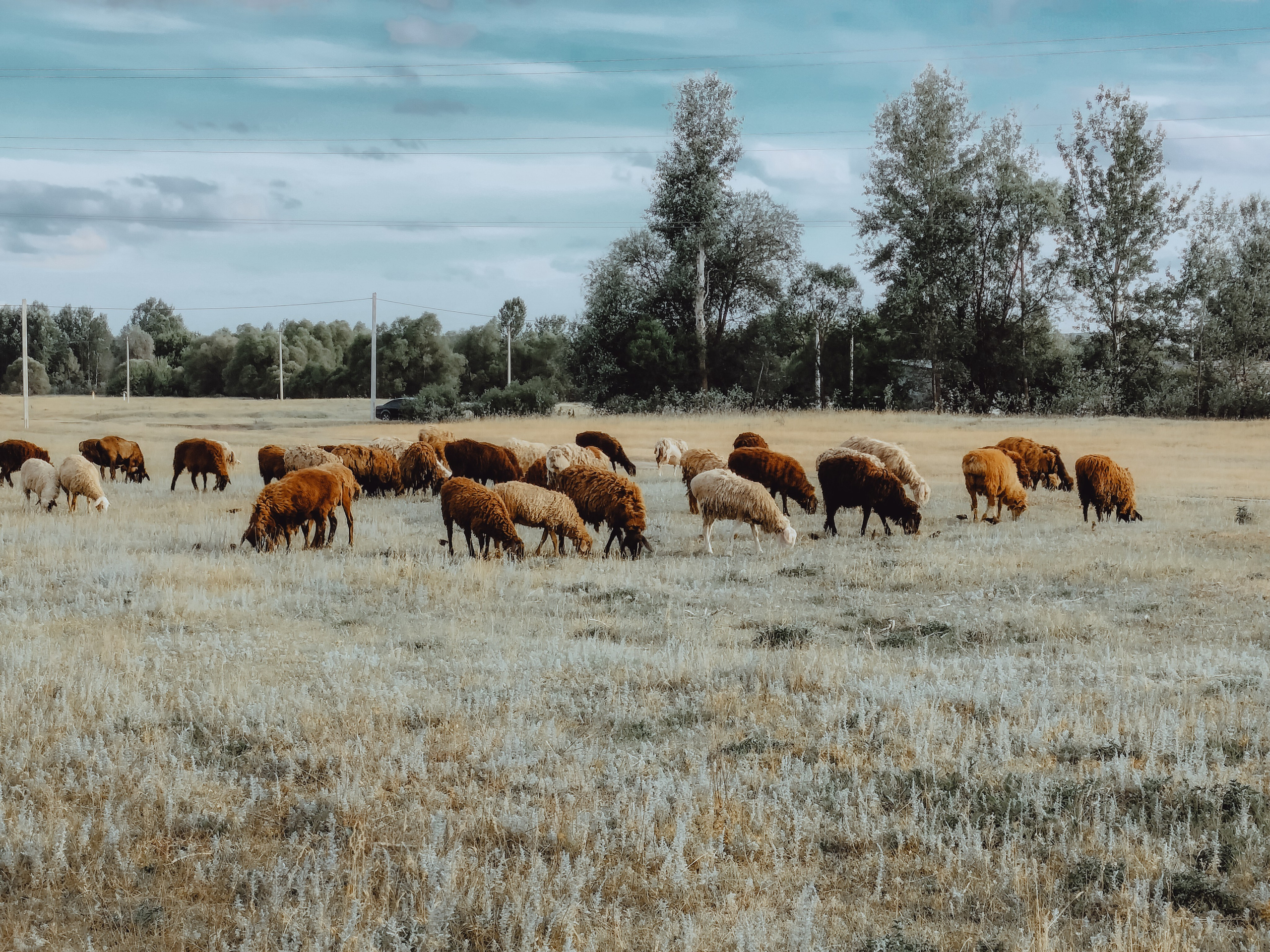 Земля. Фотограф Старый Оскол Мавлыга Мария