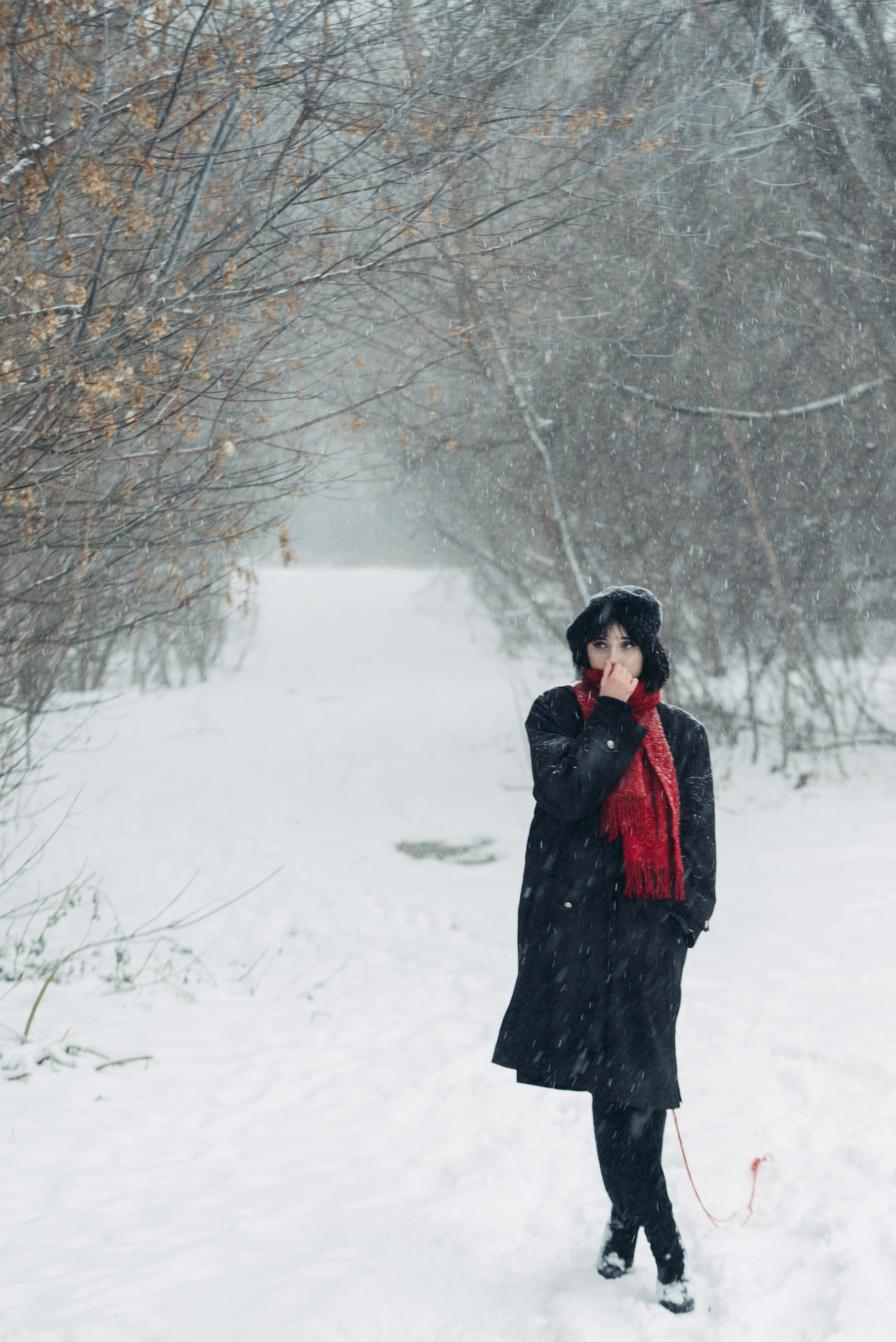 Снег и Красный. Главная