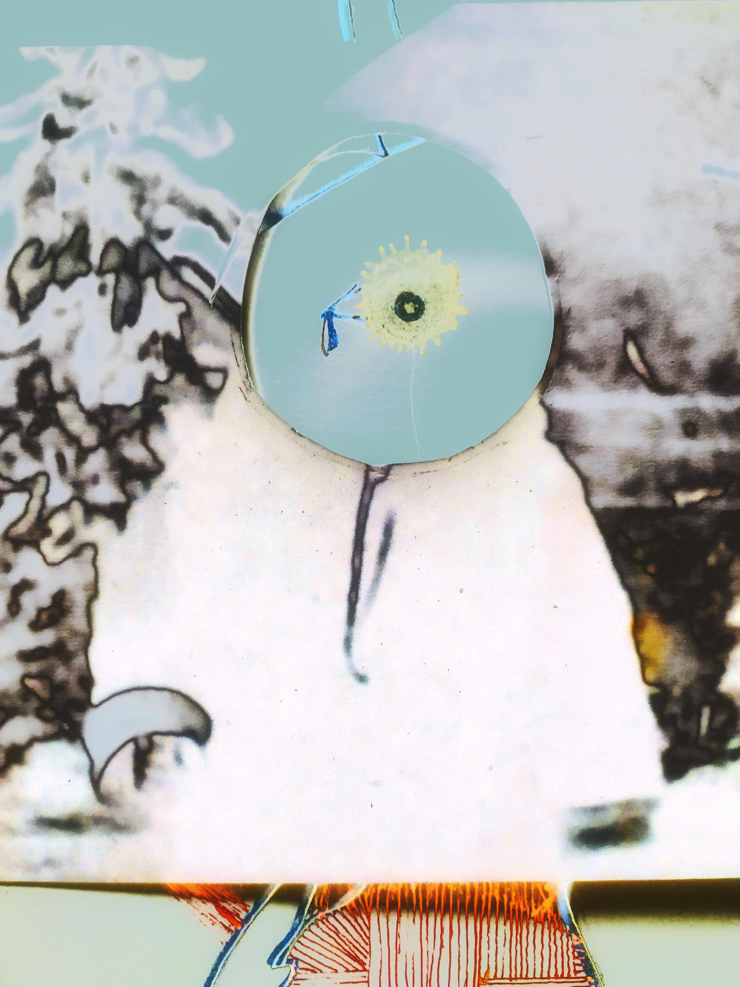 Malamoonki. Катерина Малама арт-фотограф