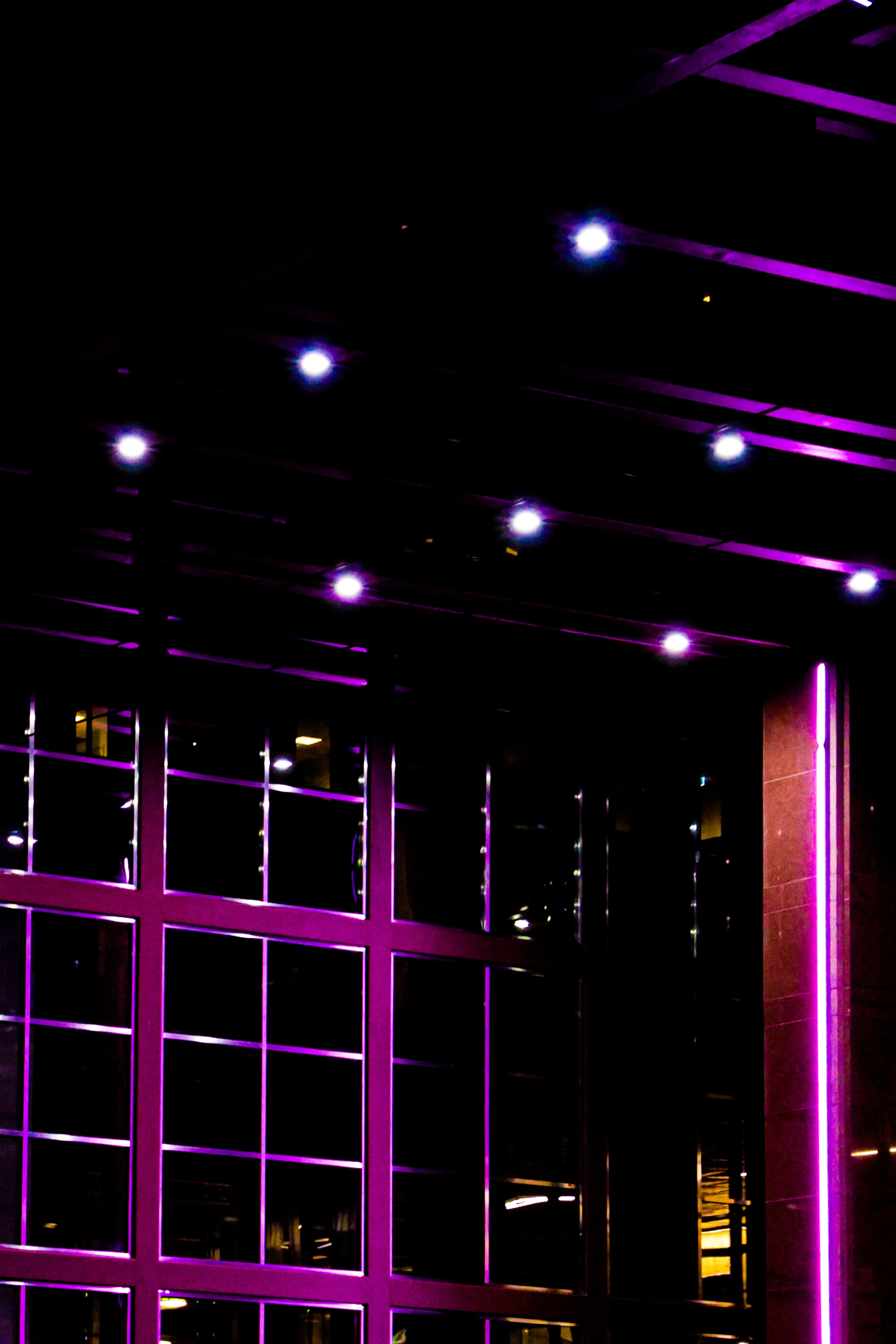 Nuit Blanche 2025. Portrait photographer based in Toronto — Blinova Mariia