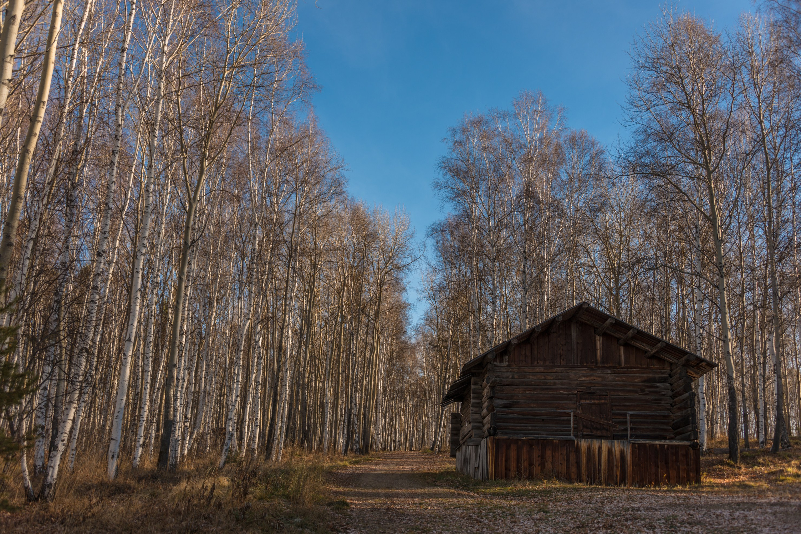 Иркутская область Тальцы. Фотограф Лара Кучина