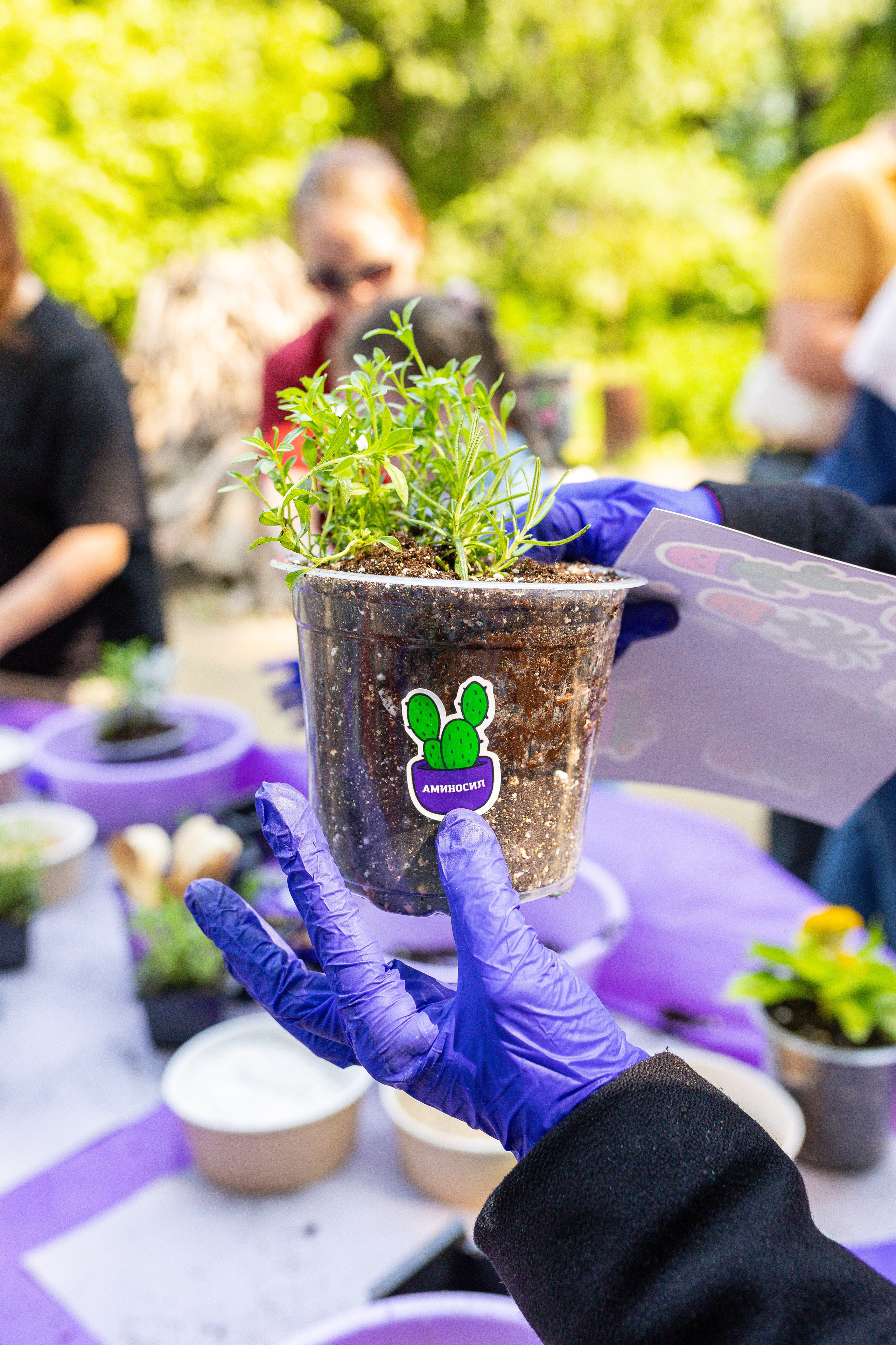 Мастер-класс от Аминосил. Александра Куликова фотограф, Москва