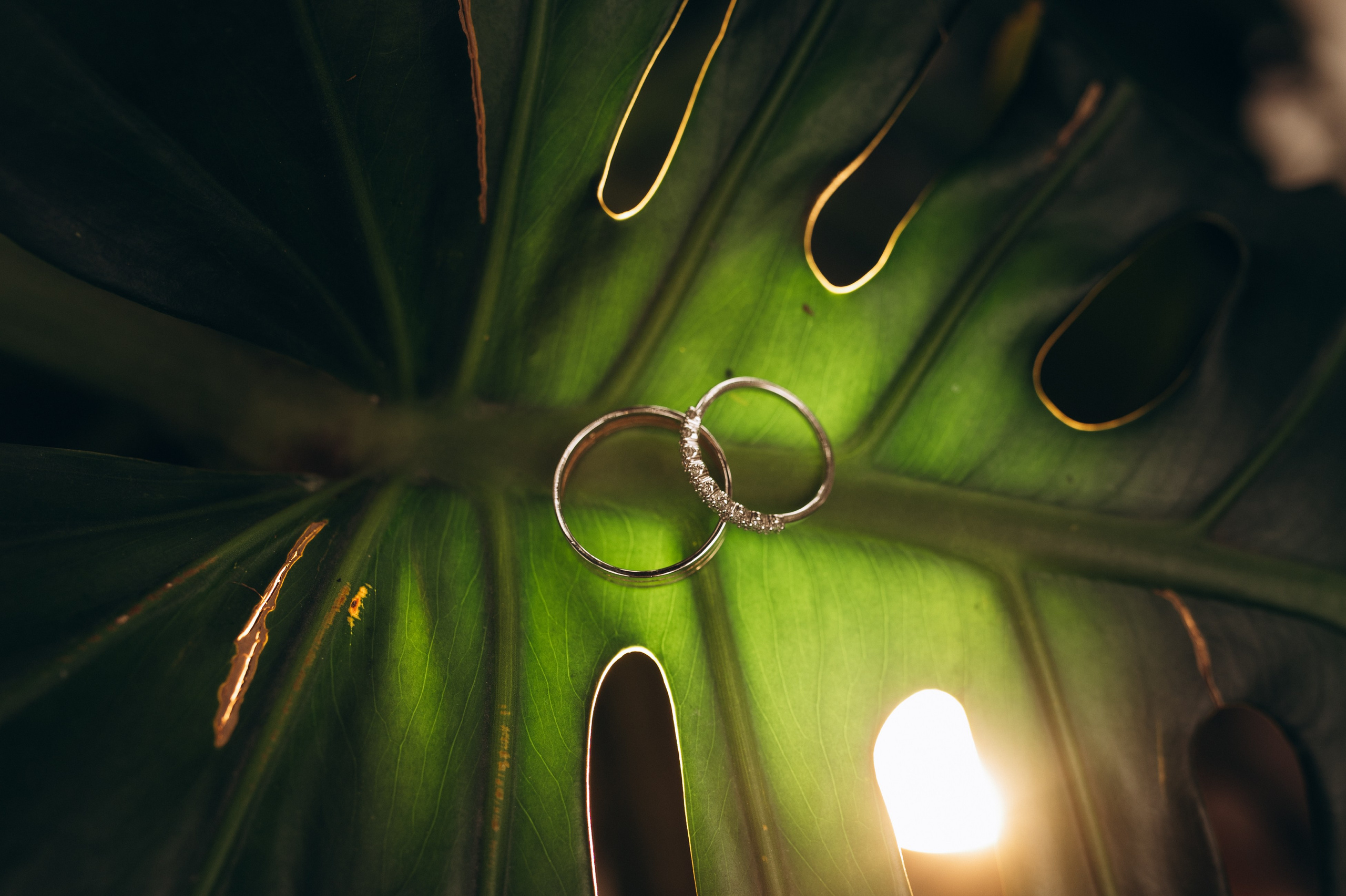 Виктор и Ксения. Свадебный и студийный фотограф Ирина Котикова