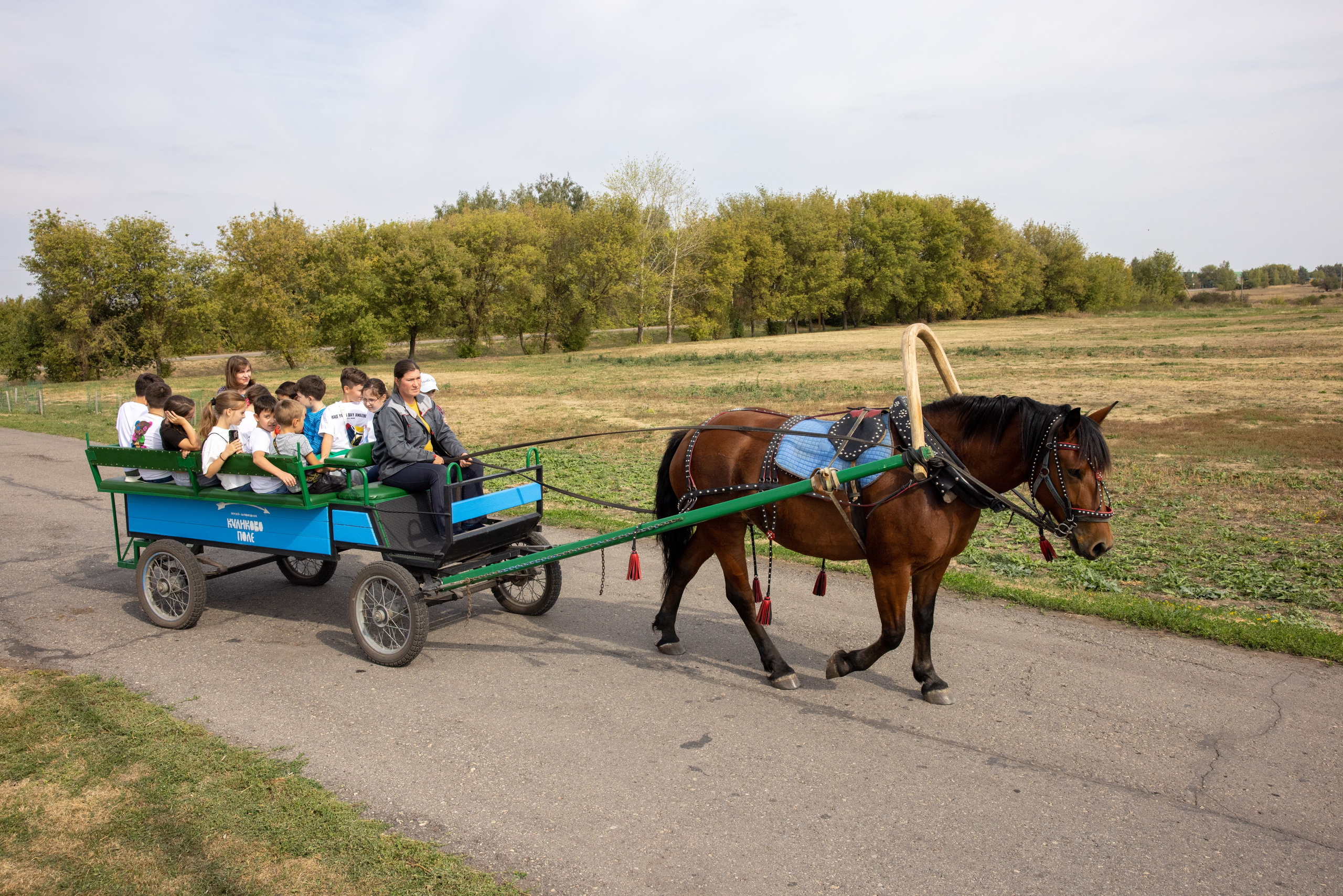 Поездка на поле Кулеково. Фотограф в Туле Крупский АнДРей. Фотостудия «КАДР71» в Туле