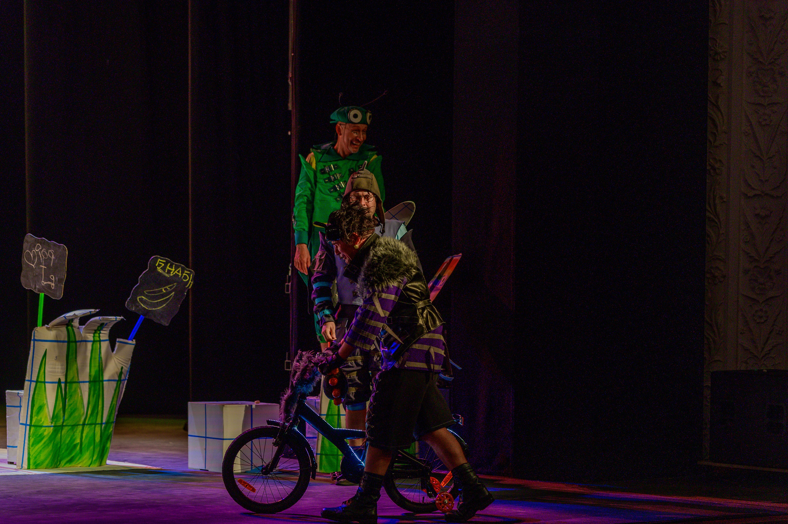 Муха Цокотуха. Фотоуслуги, услуги фотографа, фотографирование важных событий