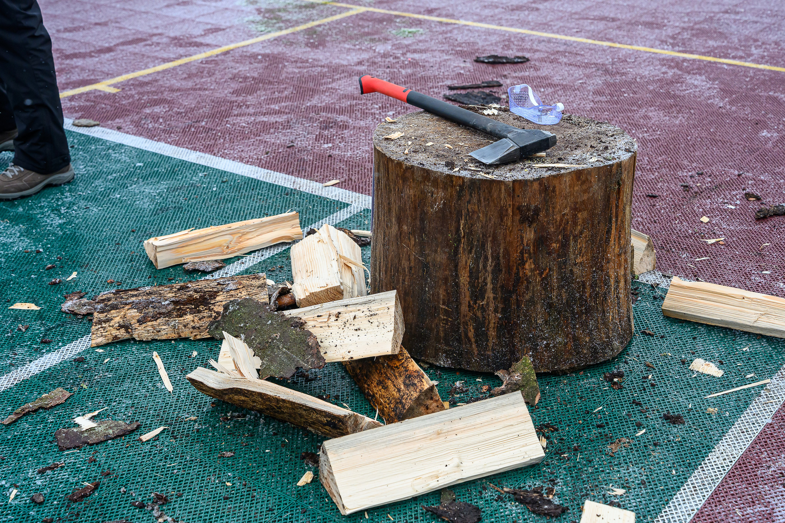 Зимняя спартакиада УД. Фотоуслуги, услуги фотографа, фотографирование важных событий