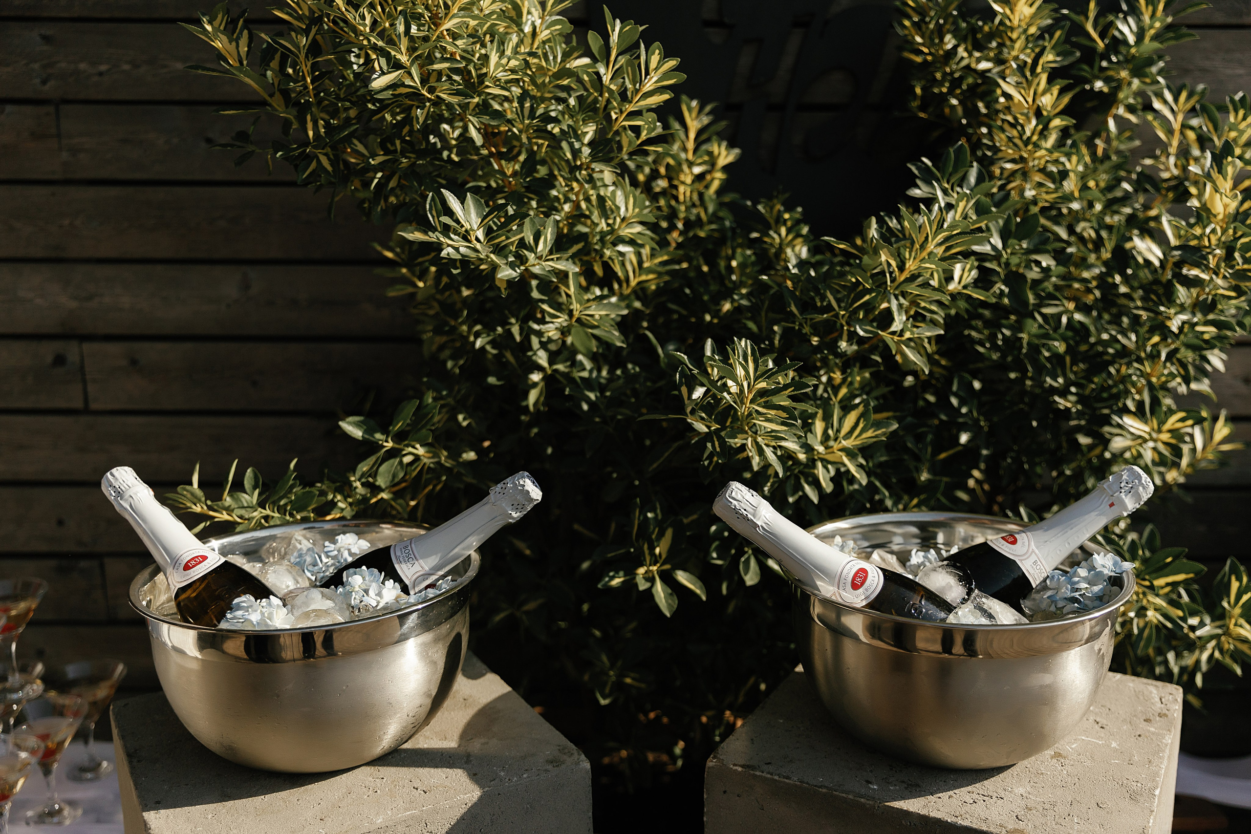 Юрий и Анастасия. Свадебный и семейный фотограф Харольцева Наталья