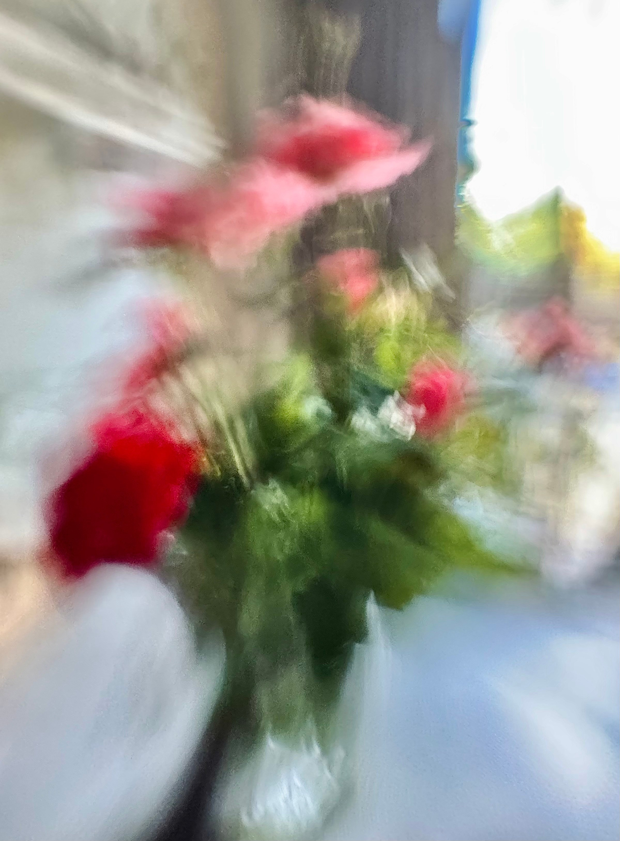 Портрет. Фотограф • Елена Миронова