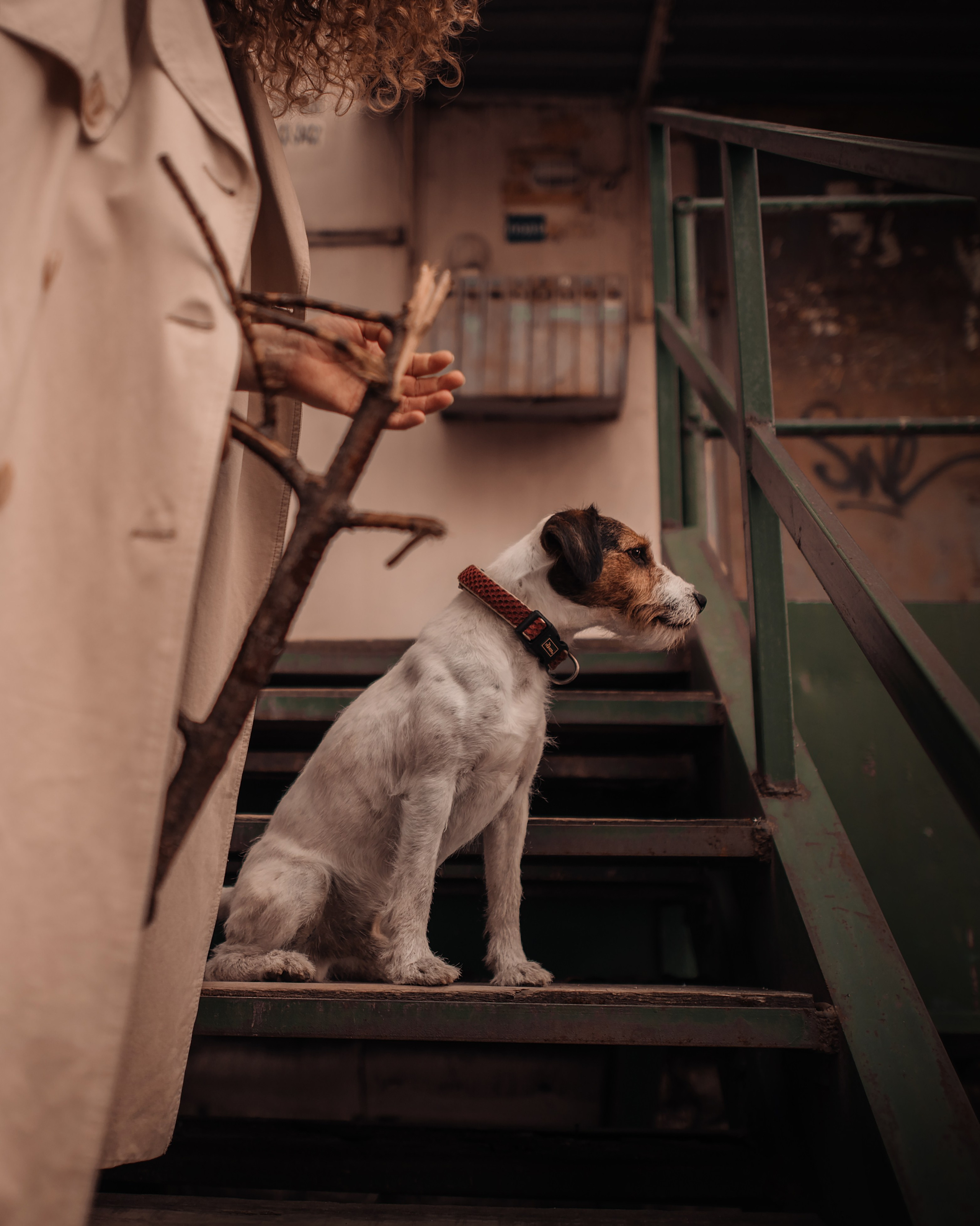 Рассвет в городе: Ира и парсон Гром. Портфолио