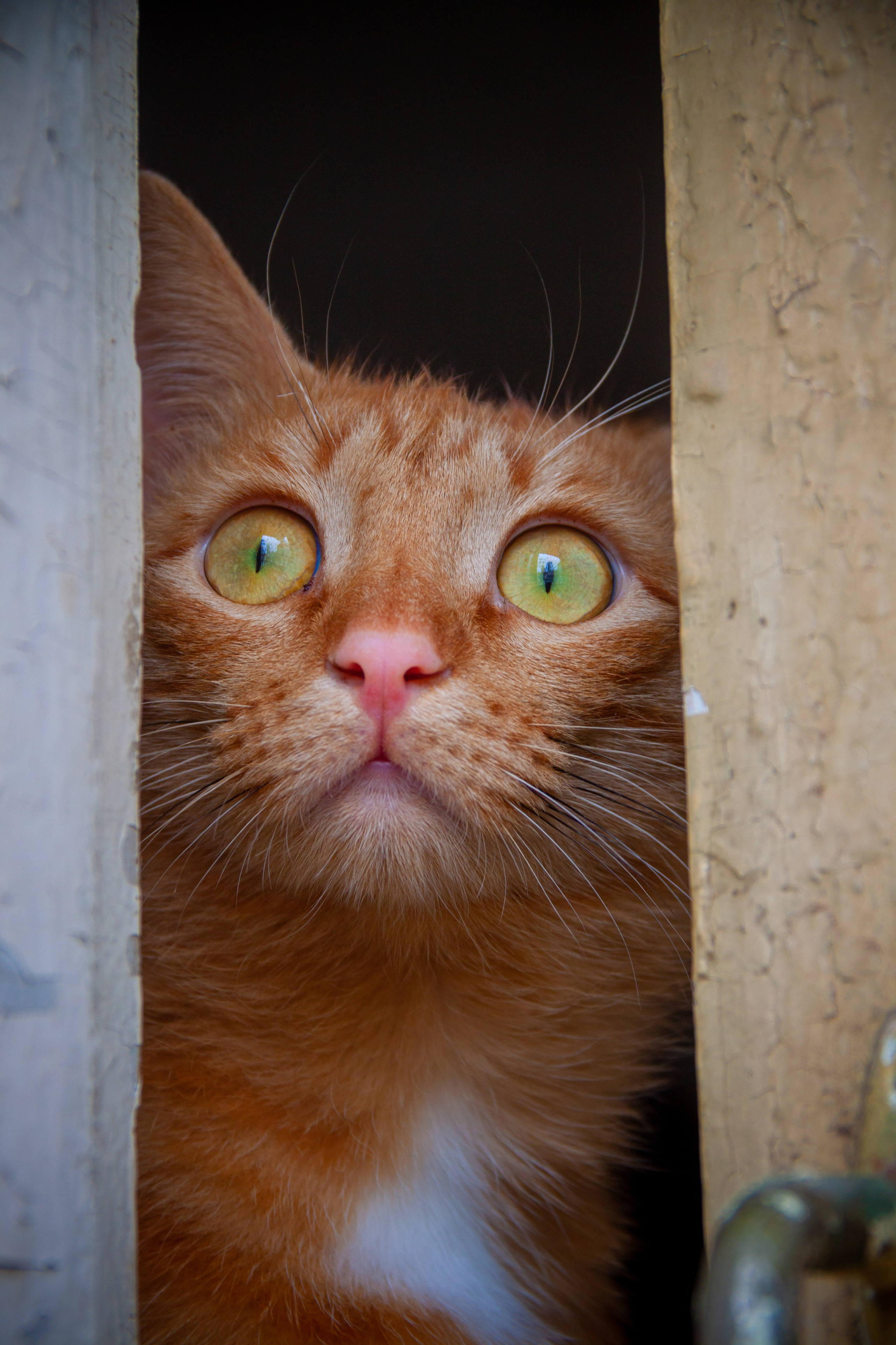 Автор: Вова