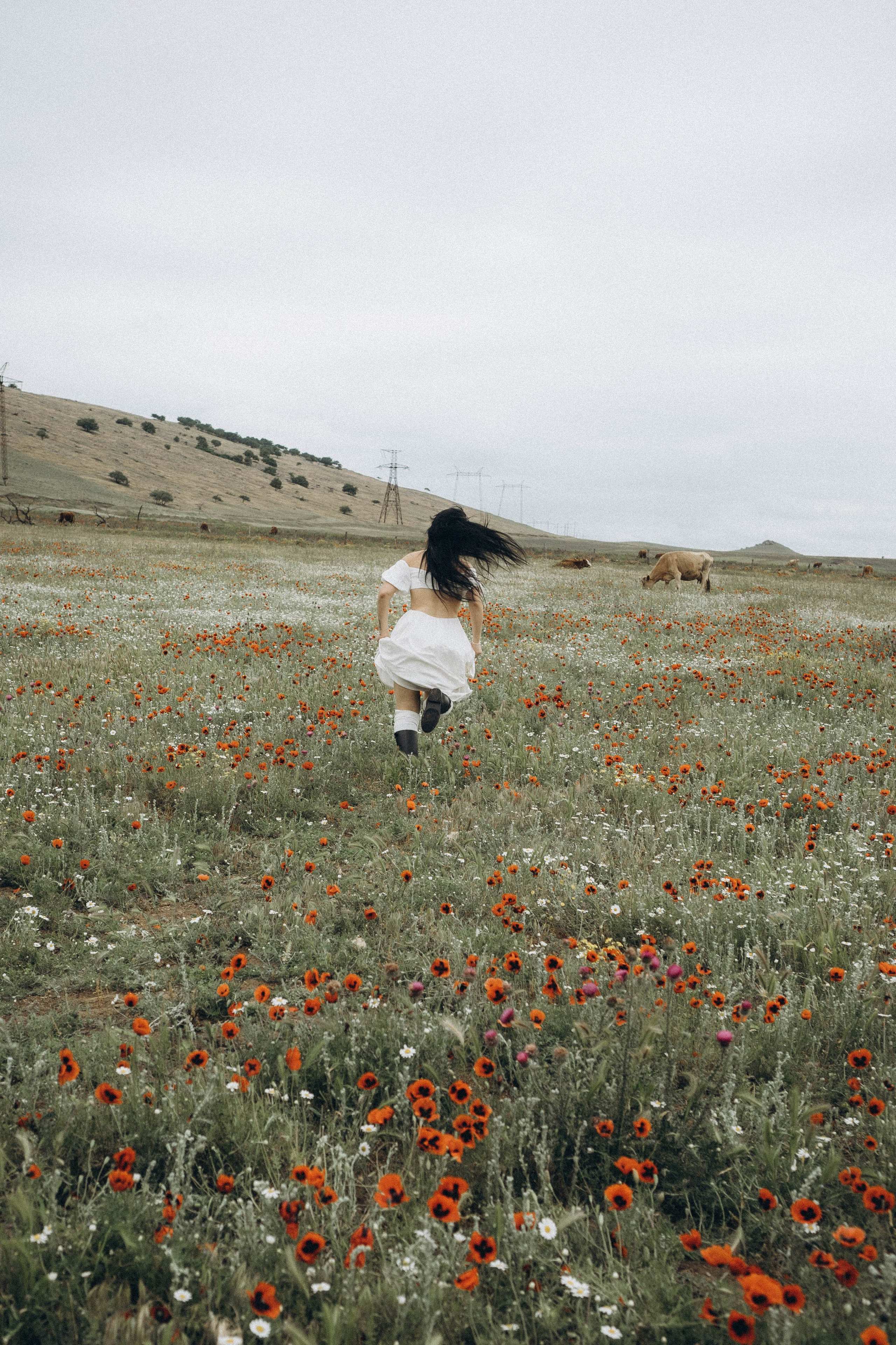 Маковое поле. Профессиональный фотограф, Санкт-Петербург — Виктория Богомолова