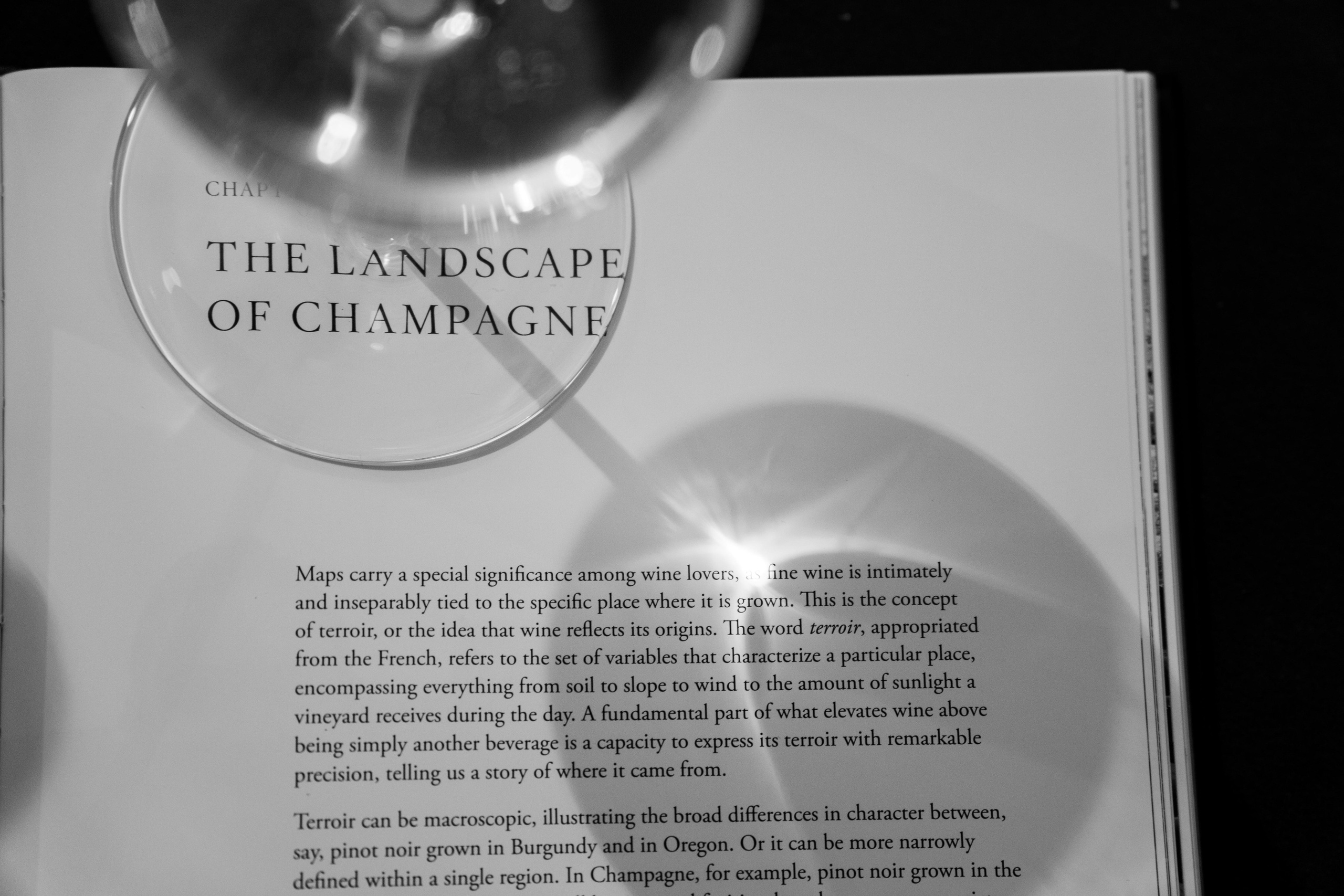 Champagne 2025. Фотограф в Крыму Алевтина Швец