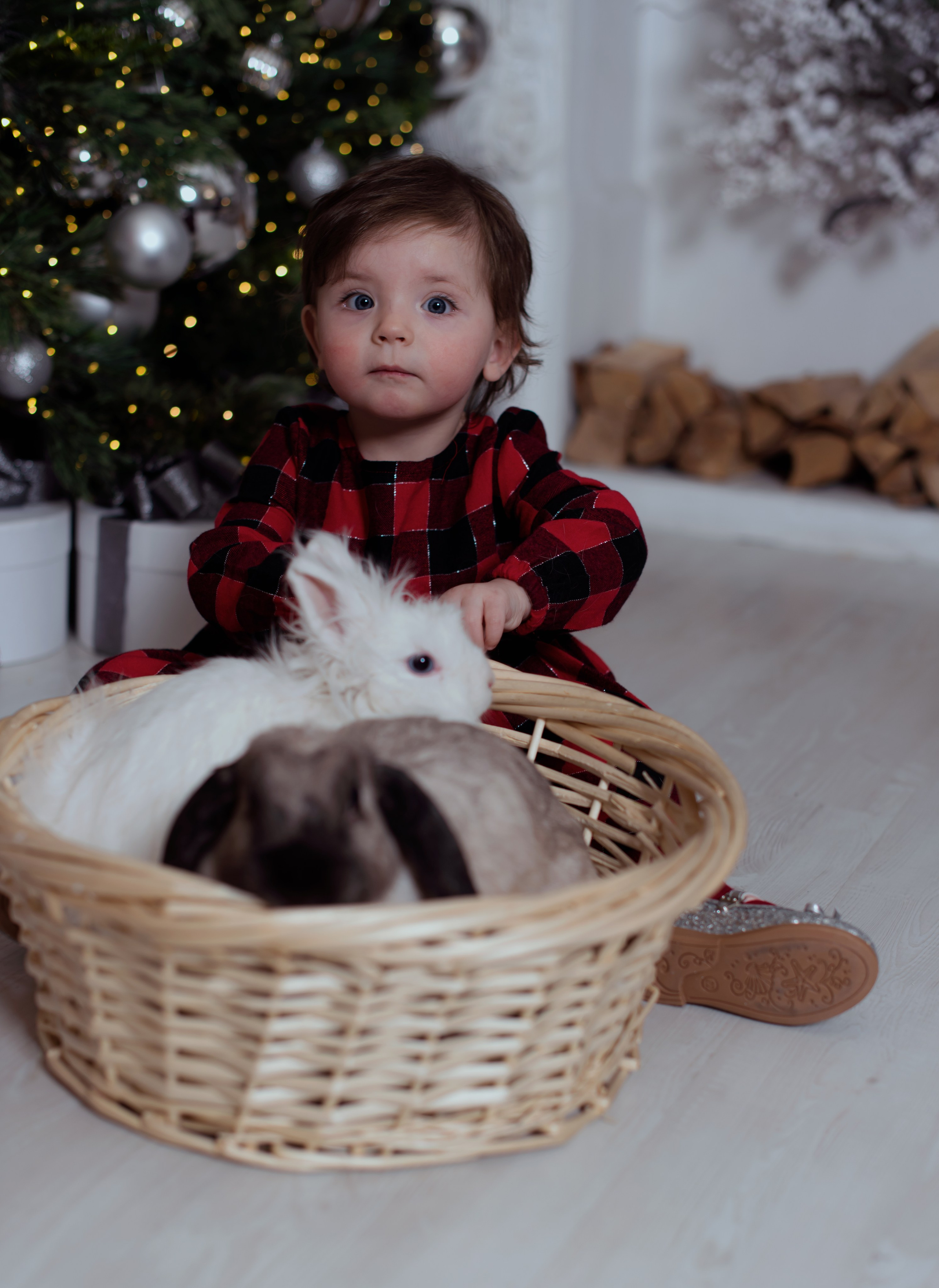 Юля с семьей. Свадебный и семейный фотограф в Москве и МО (Фрязино, Королёв, Коломна) Макеева Алёна