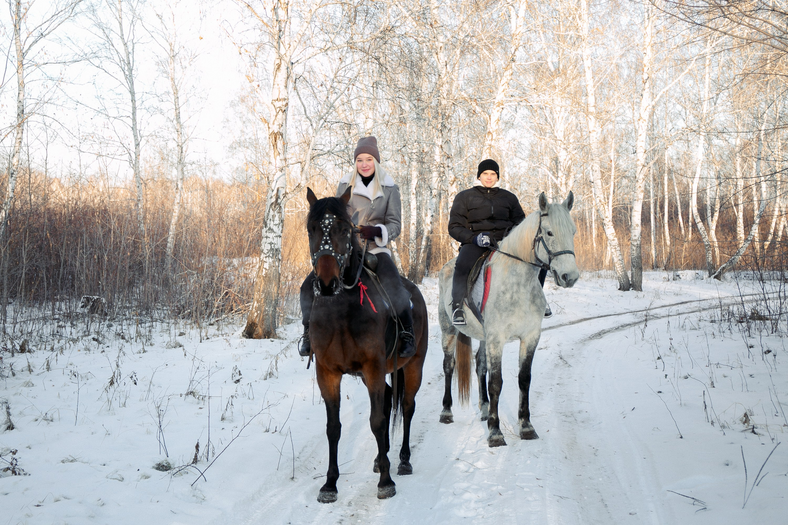 Фотосессии в Анкоре. Конные прогулки в клубе «Анкор» — Омск