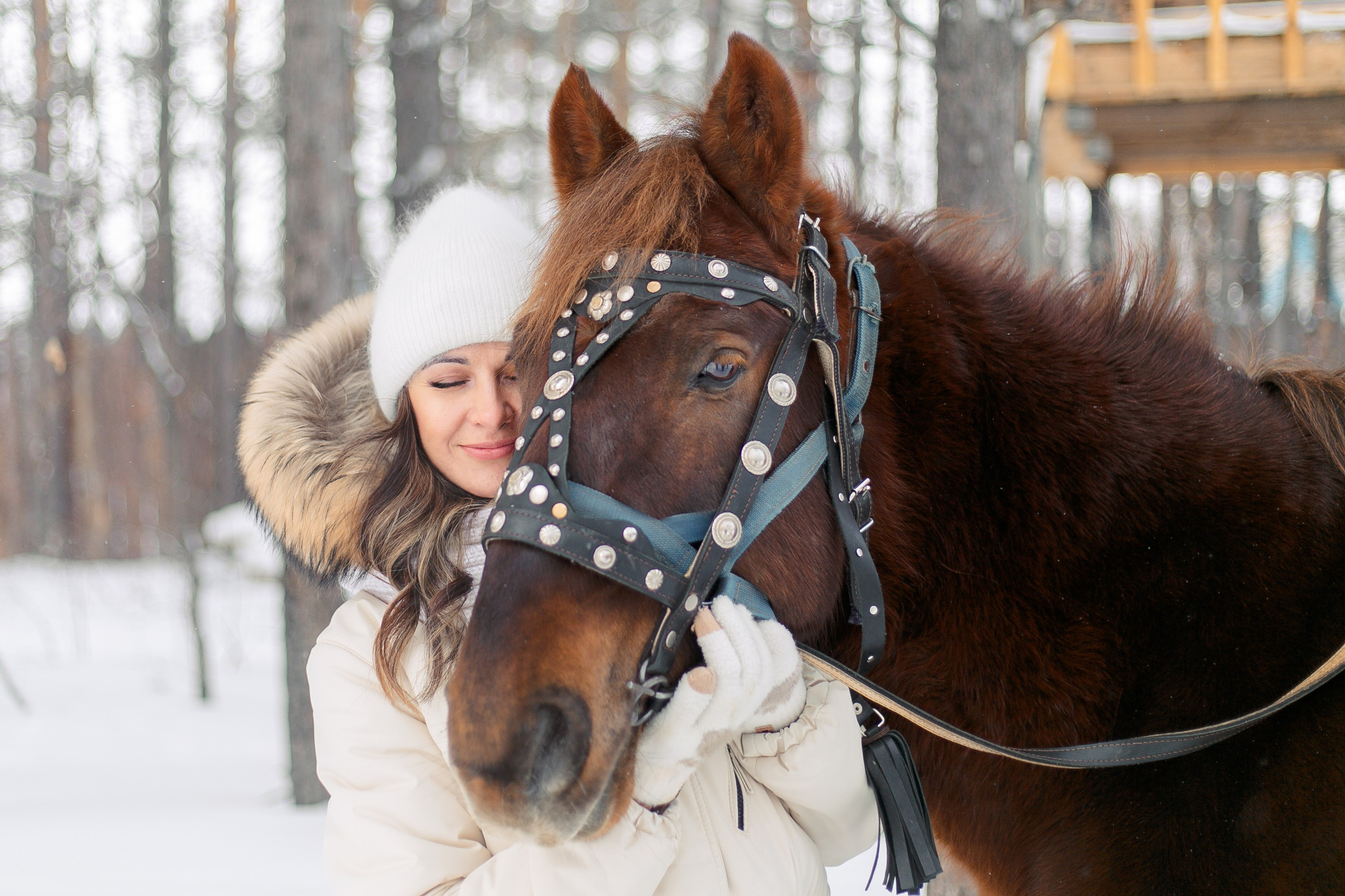 Фотосессии в Анкоре. Конные прогулки в клубе «Анкор» — Омск
