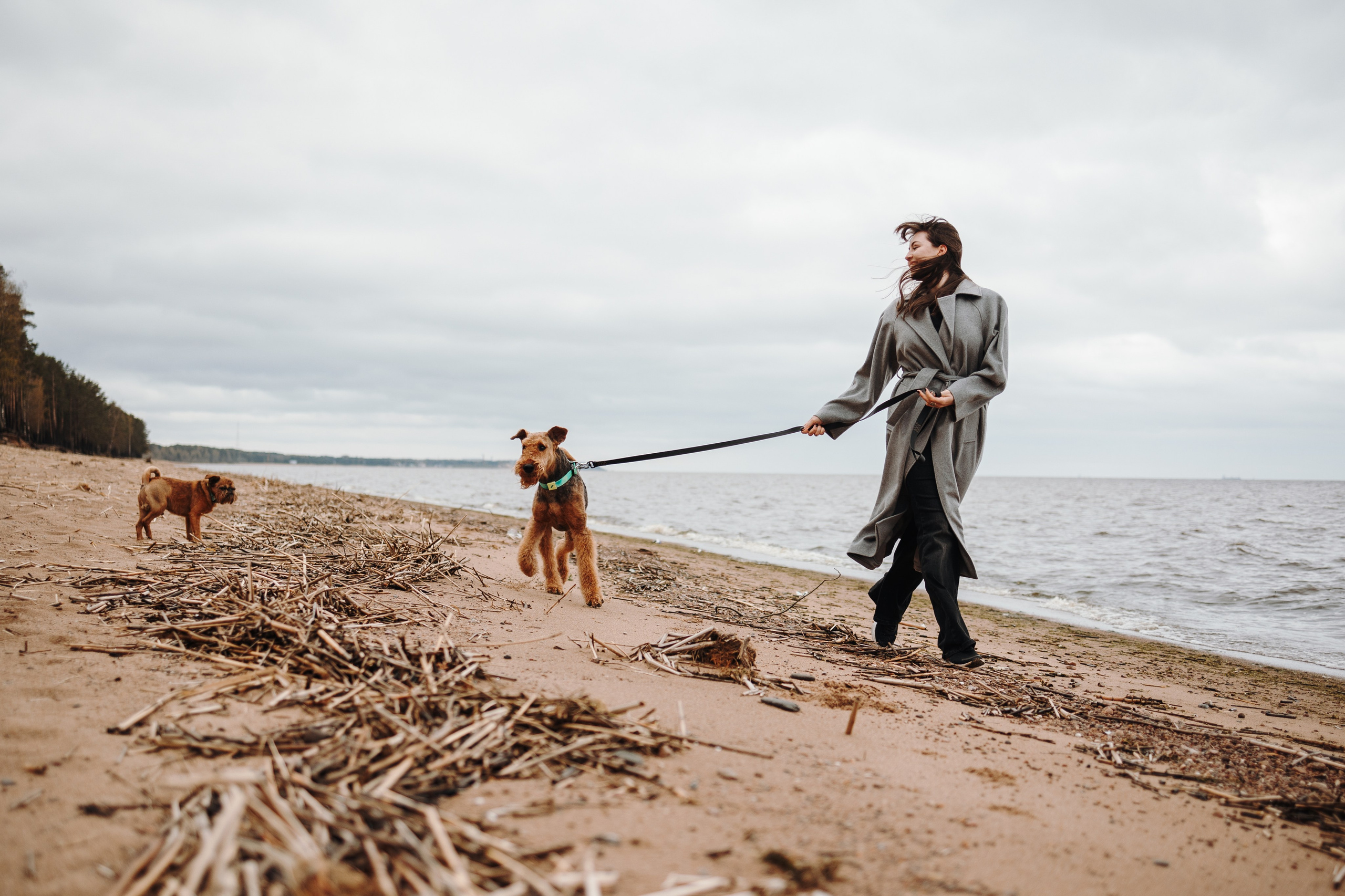 Вера и ее семья. Фотограф — Анималист | Санкт-Петербург