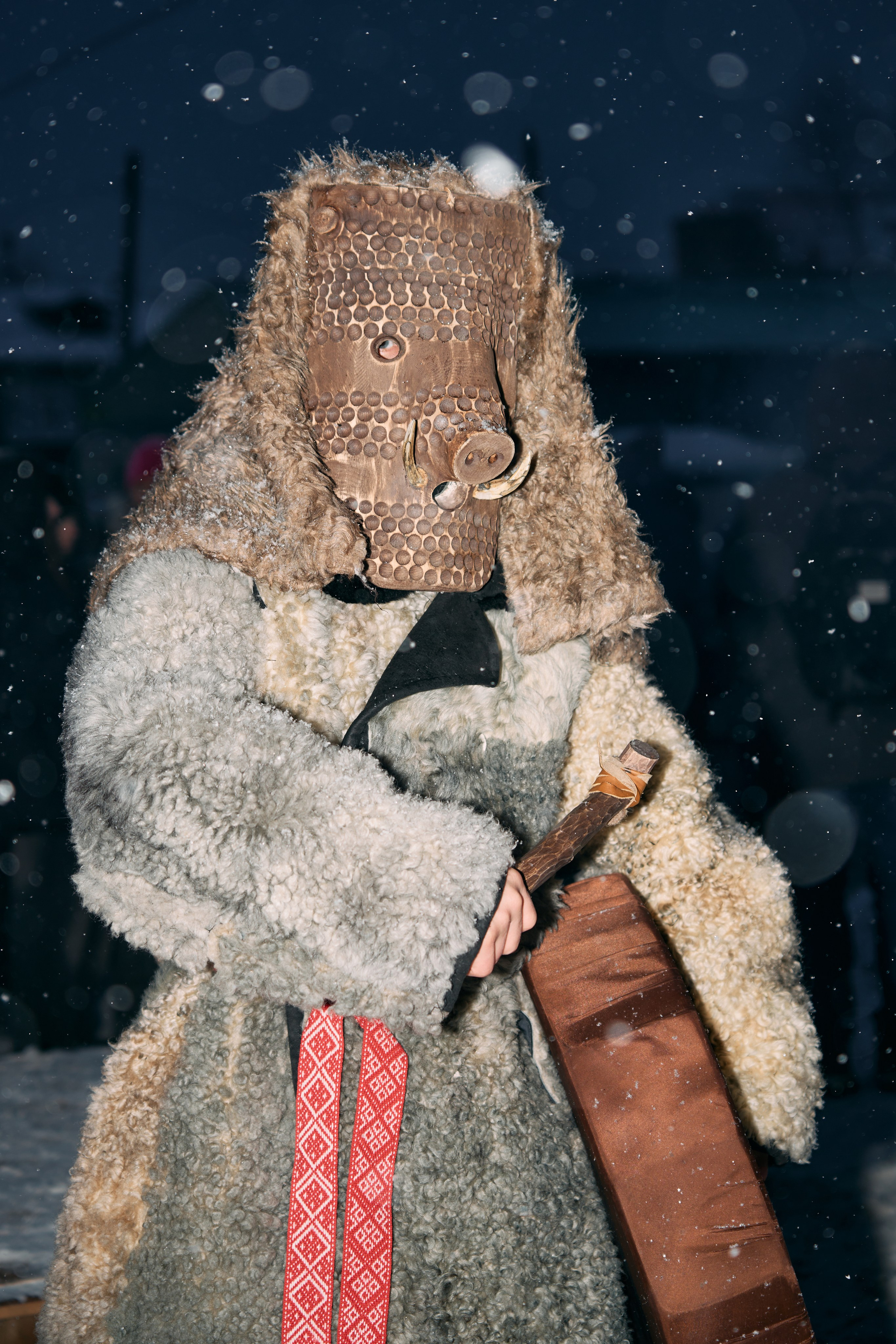 С медведем по соседям. Фотограф