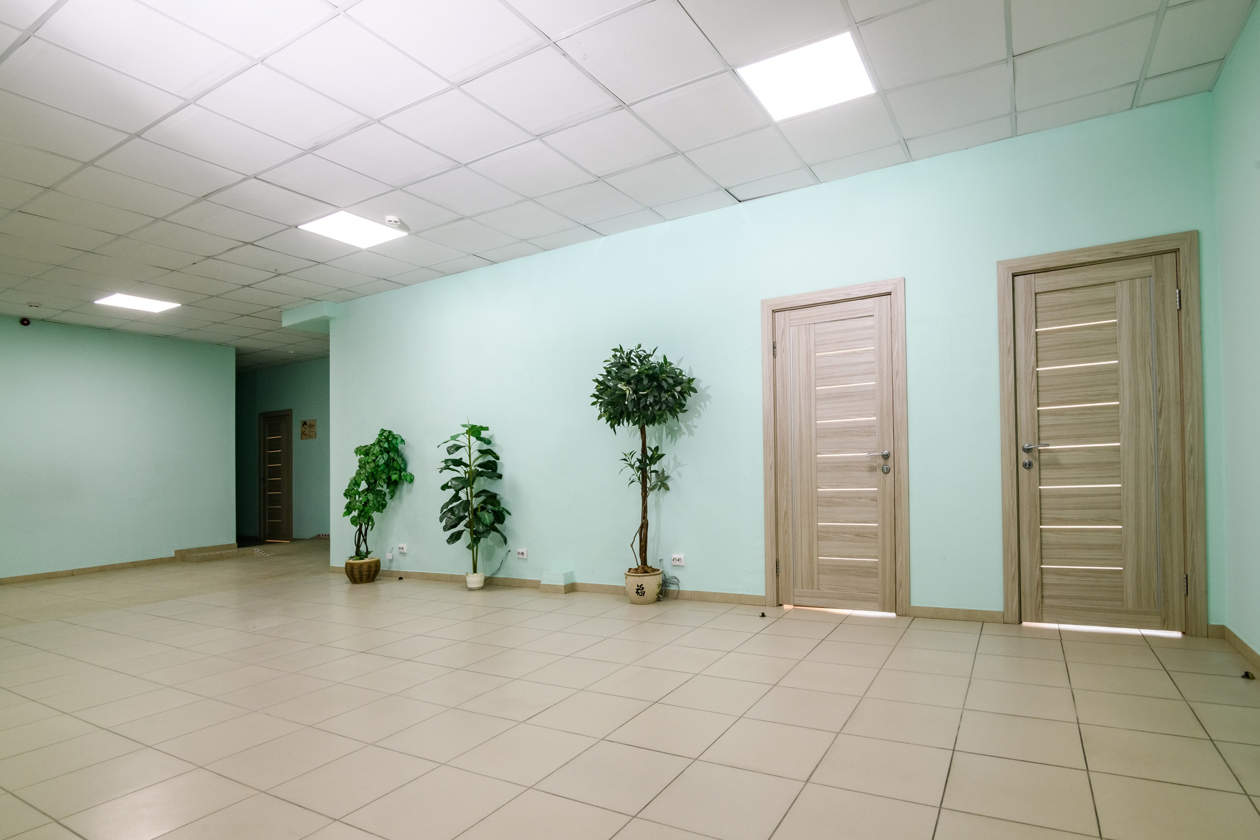 Интерьерная. Аренда коммерческого помещения. Женский фотограф в Санкт-Петербурге Степлевич Дарья