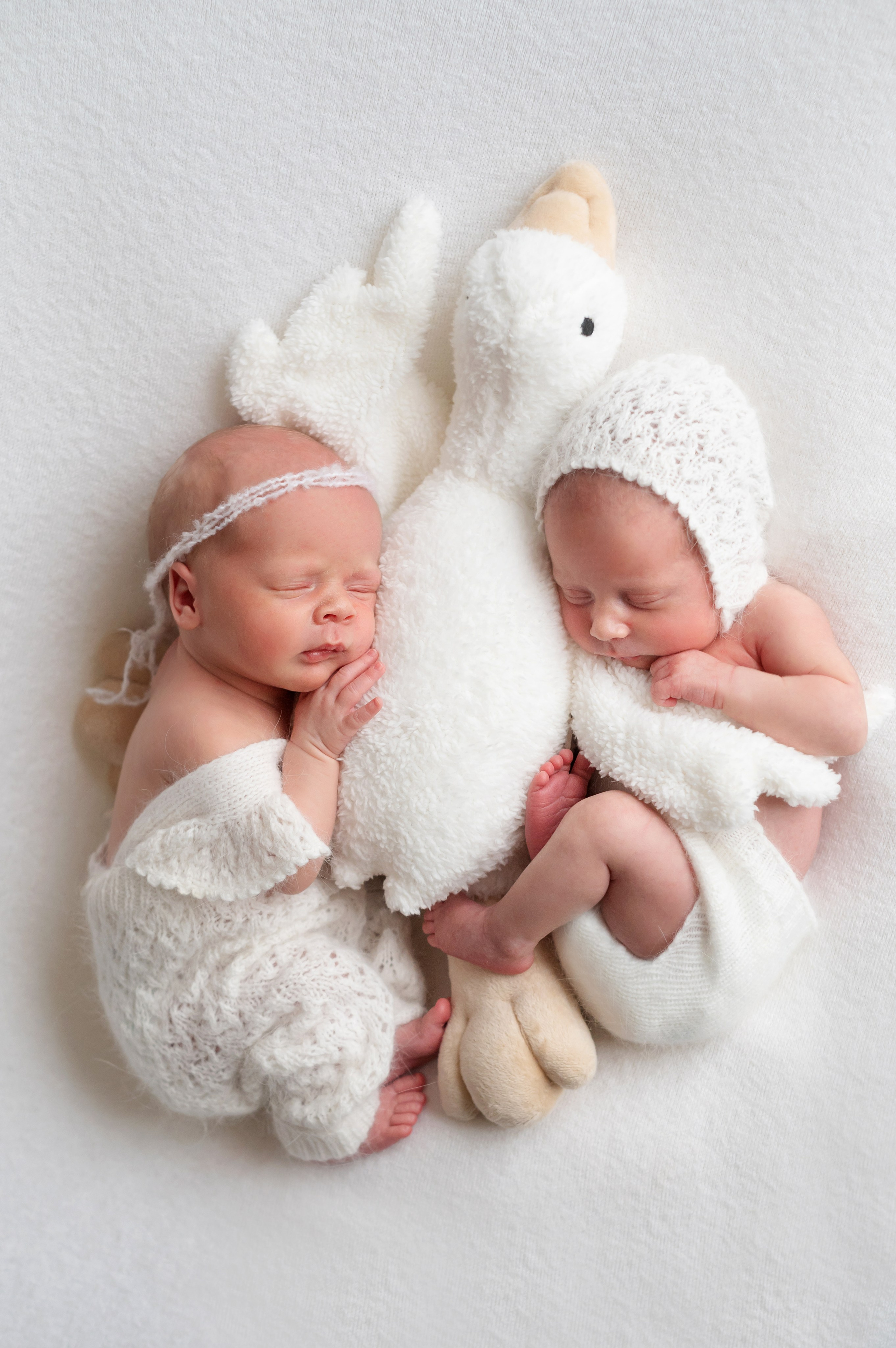 Вера и Диана 10 дней. Фотограф новорожденных Елена Панова