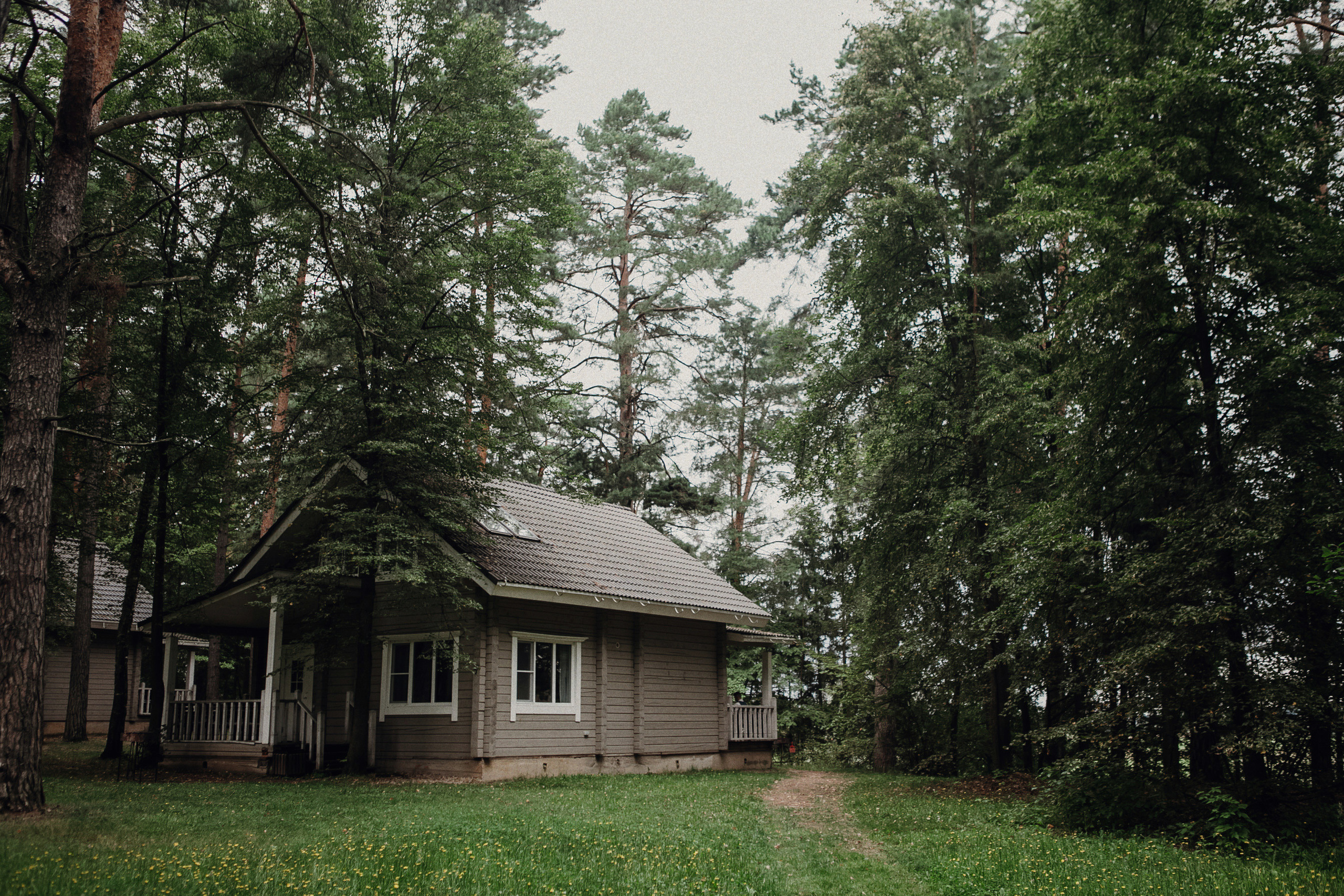 Алина и Дмитрий. Свадебное фото и видео Москва Кристина Музыка