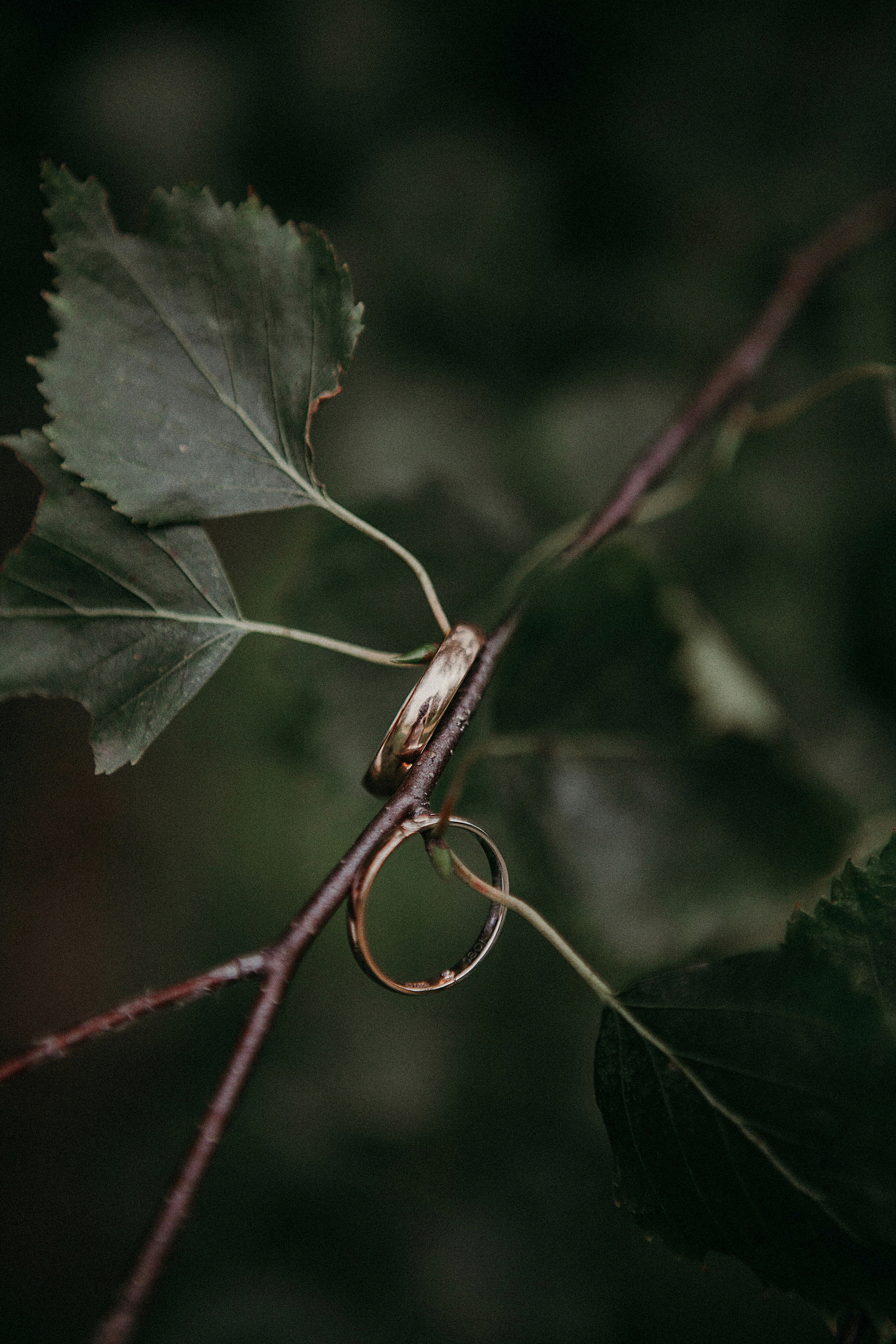 Свадебная прогулка Мытищи. Свадебное фото и видео Москва Кристина Музыка